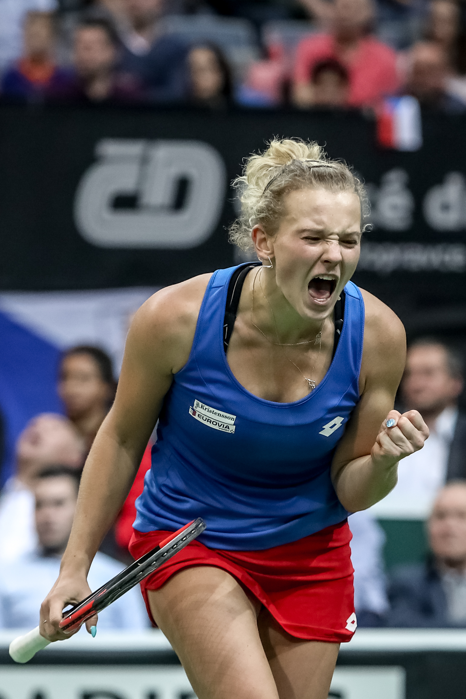 Finala Fed Cup. Cehia - SUA, la Praga. Viitoarea adversară a României a cucerit trofeul