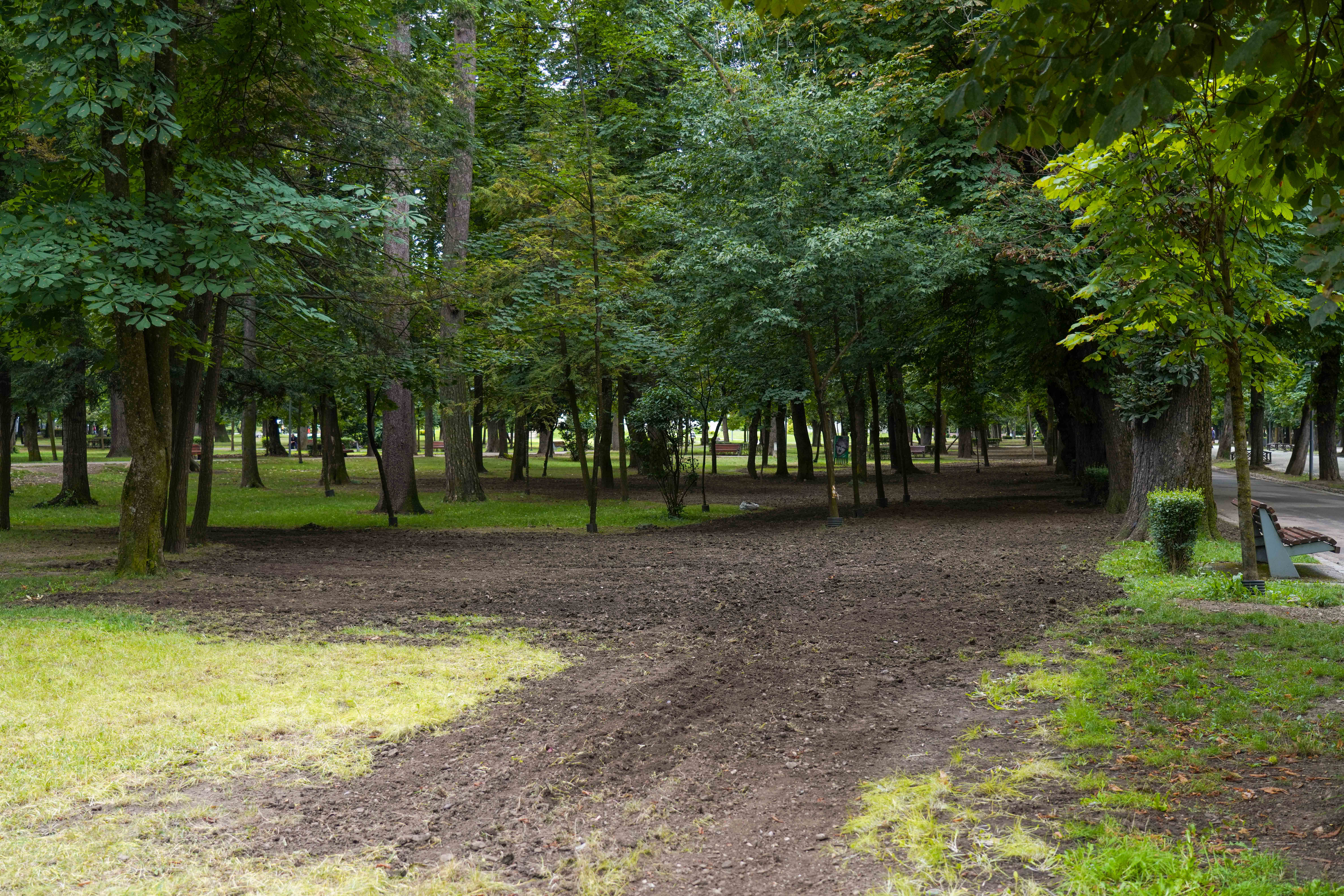 Napocalipsa, după Untold. Cum arată Parcul Mare la finalul festivalului de la Cluj