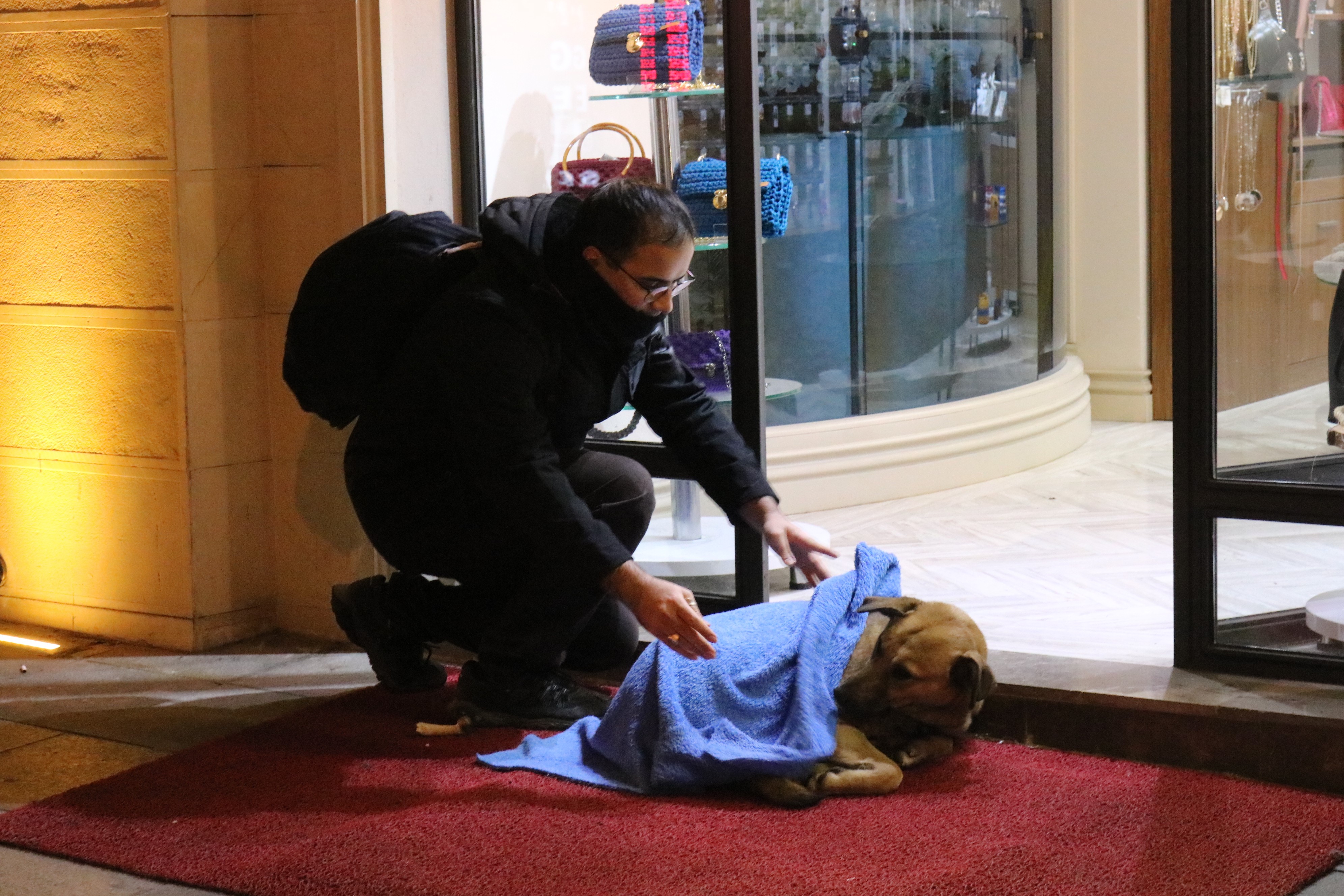 FOTO | Un medic stomatolog învelește cu pături animalele de pe stradă pentru ca ele nu moară de frig