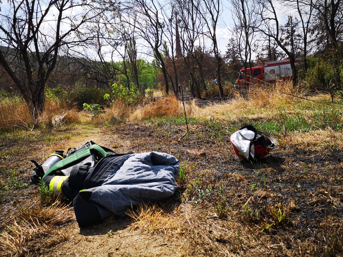 Incendiu de vegetaţie în parcul IOR din Bucureşti. Pompierii intervin cu trei autospeciale