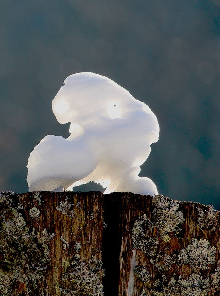 Fenomen absolut bizar la Sarmizegetusa Regia. Natura a sculptat păsări albe la Marele Templu Circular
