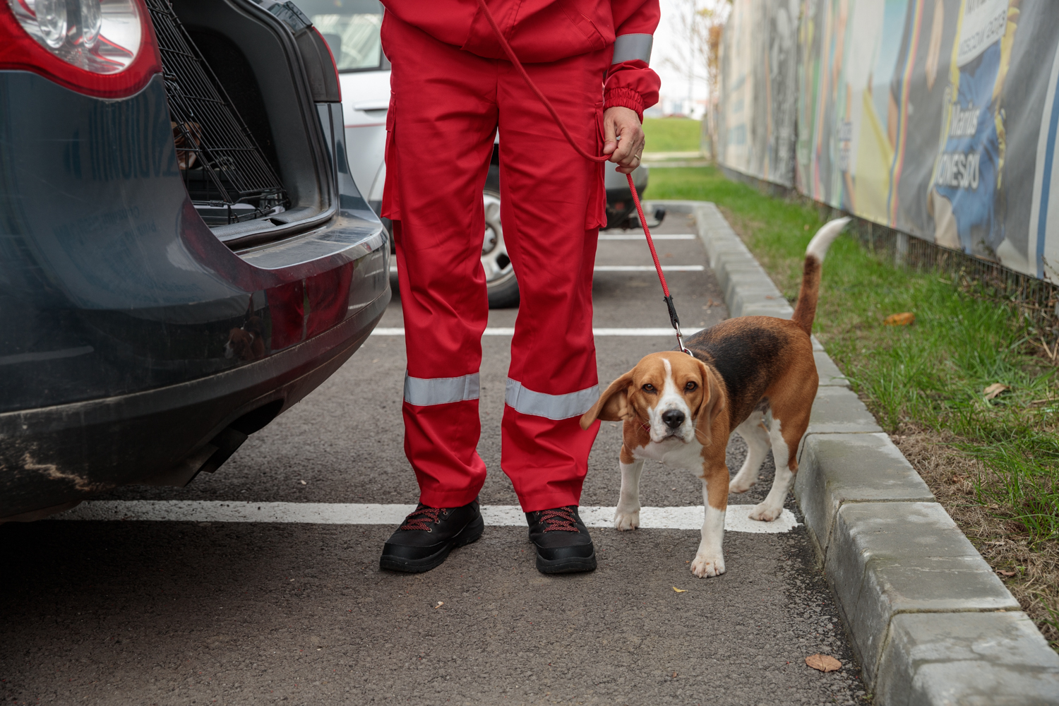 Când cel mai bun prieten al omului îți salvează viața. Cum se pregătesc câinii și voluntarii pentru eventuale catastrofe