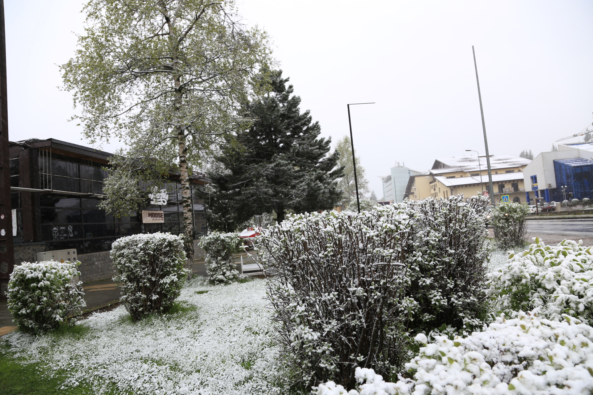 NINSORI în țară înainte de Paște! Se apropie 1 MAI, dar parcă-i iarnă în toată regula! GALERIE FOTO