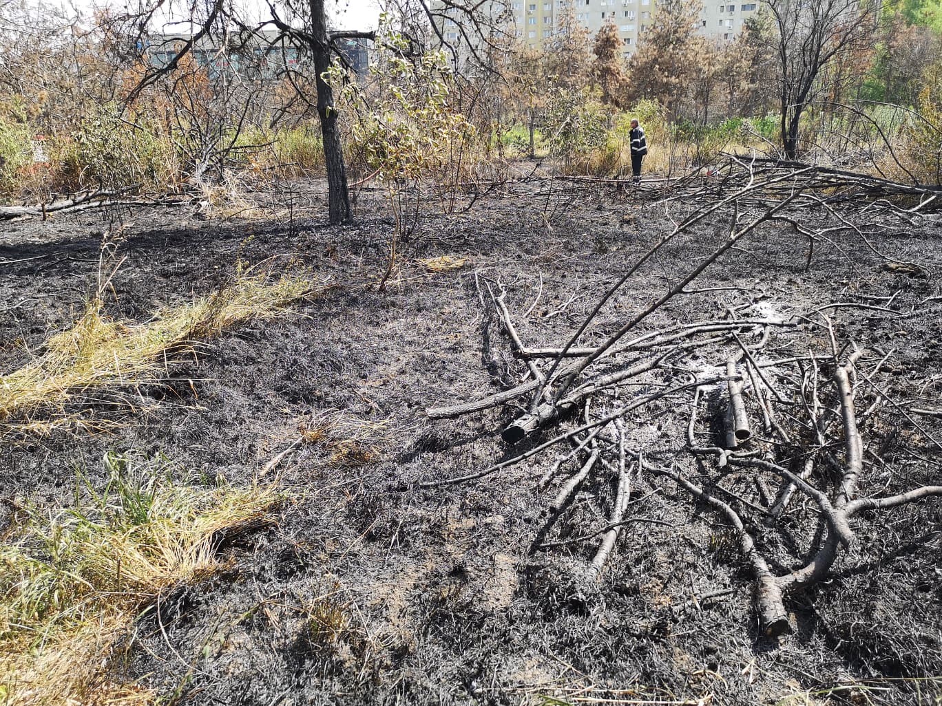 Incendiu de vegetaţie în parcul IOR din Bucureşti. Pompierii intervin cu trei autospeciale