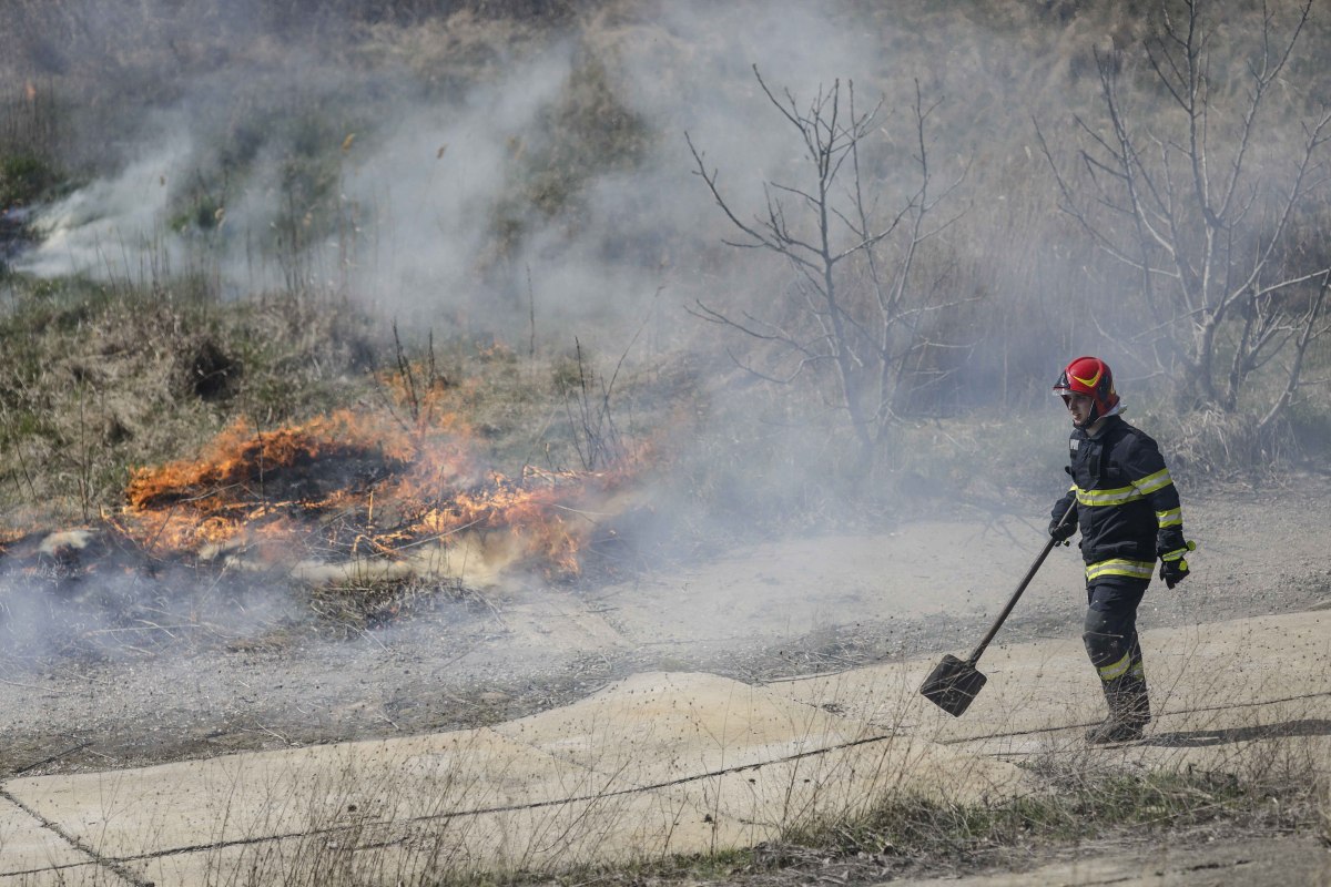 Incendiul din Delta Văcărești, stins după două ore. Ce suprafață a fost afectată