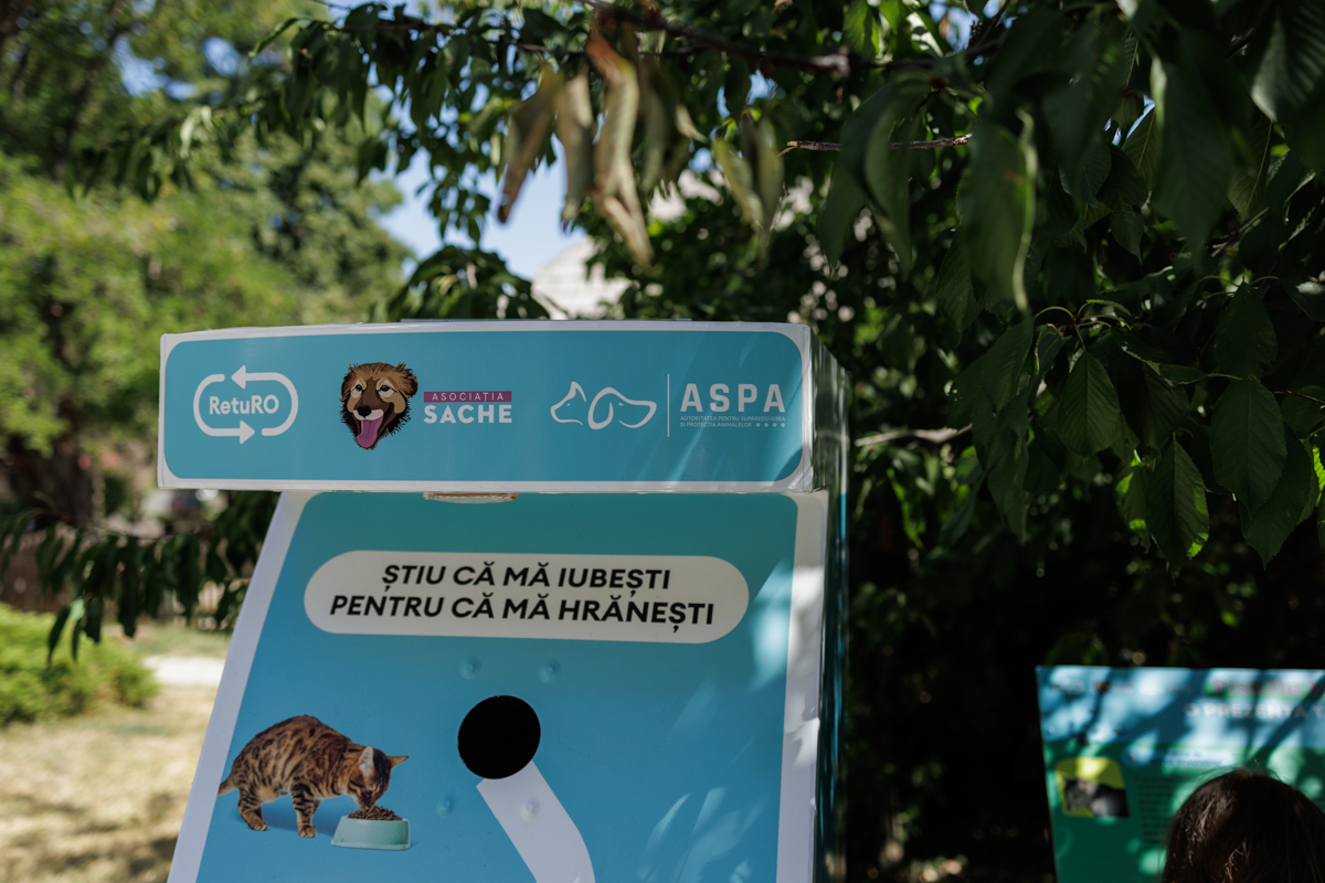 Paznici neobișnuiți pentru Muzeul Satului. Zeci de pisici sunt „plătite” cu hrană și apă pentru a apăra valoroasele exponate