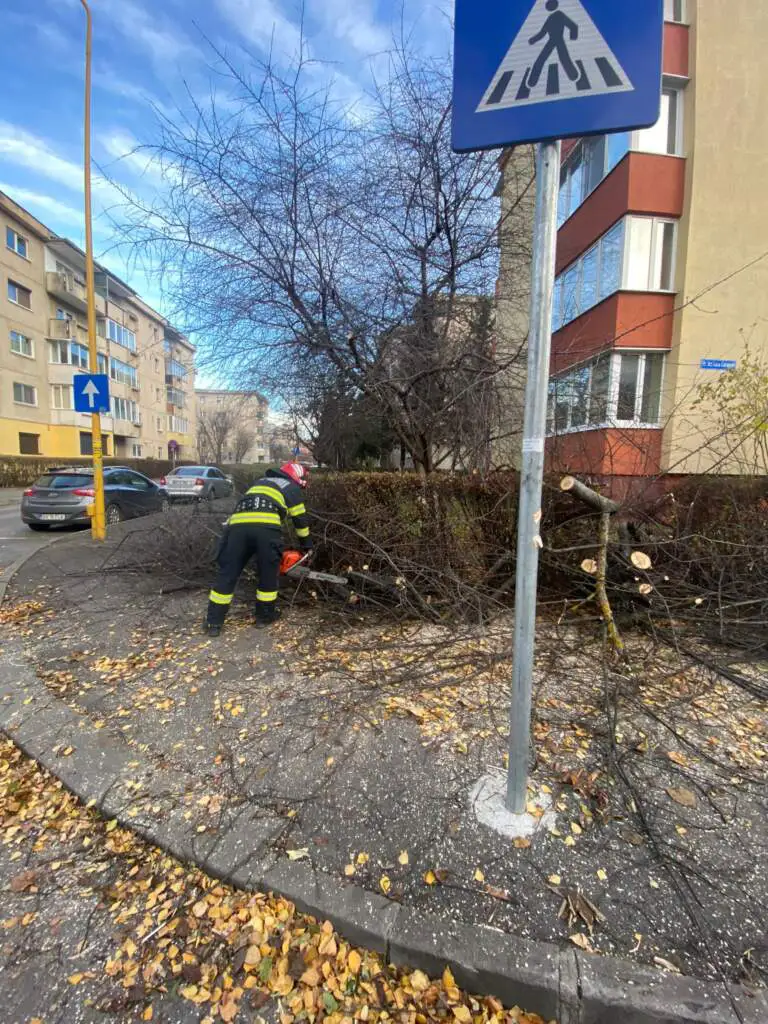 Pagube la Brașov din cauza vântului puternic: copaci doborâți, bucați de acoperiş desprinse de pe clădiri. FOTO