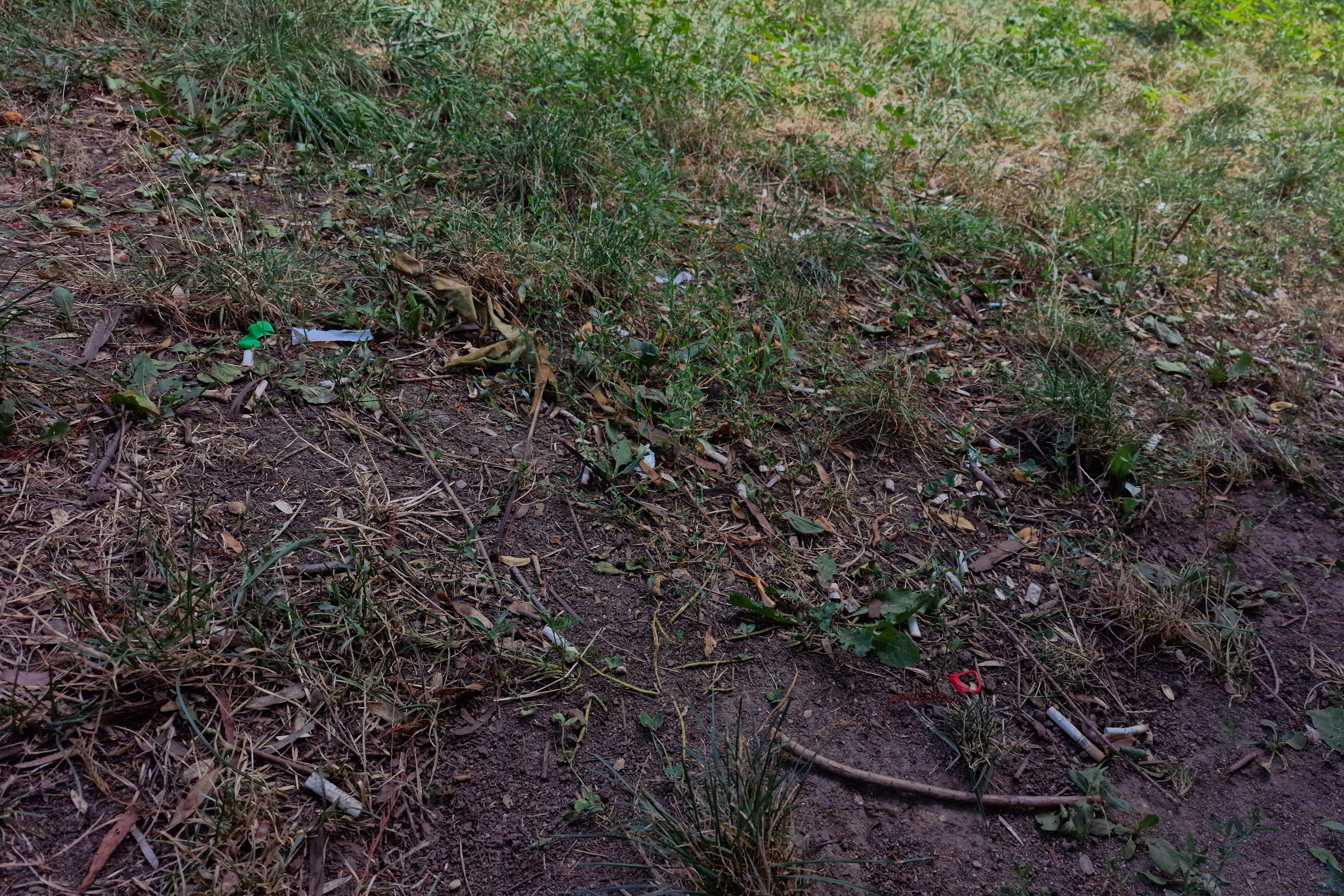 FOTO. În Parcul Circului din București, toată iarba e pârjolită. Rezistă, în schimb, gunoaiele
