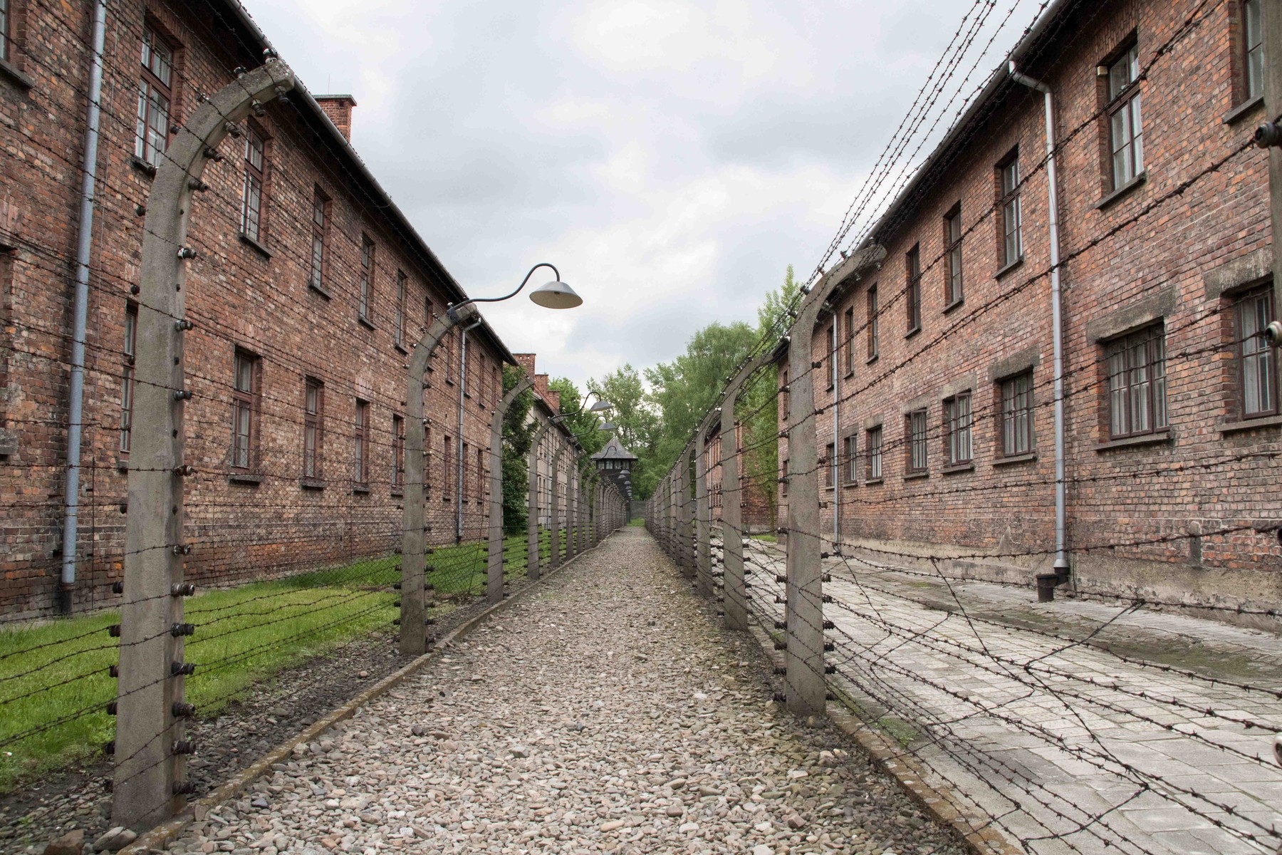 80 de ani de la eliberarea Auschwitz-ului. Ultimii martori ai Holocaustului se reunesc cu liderii lumii