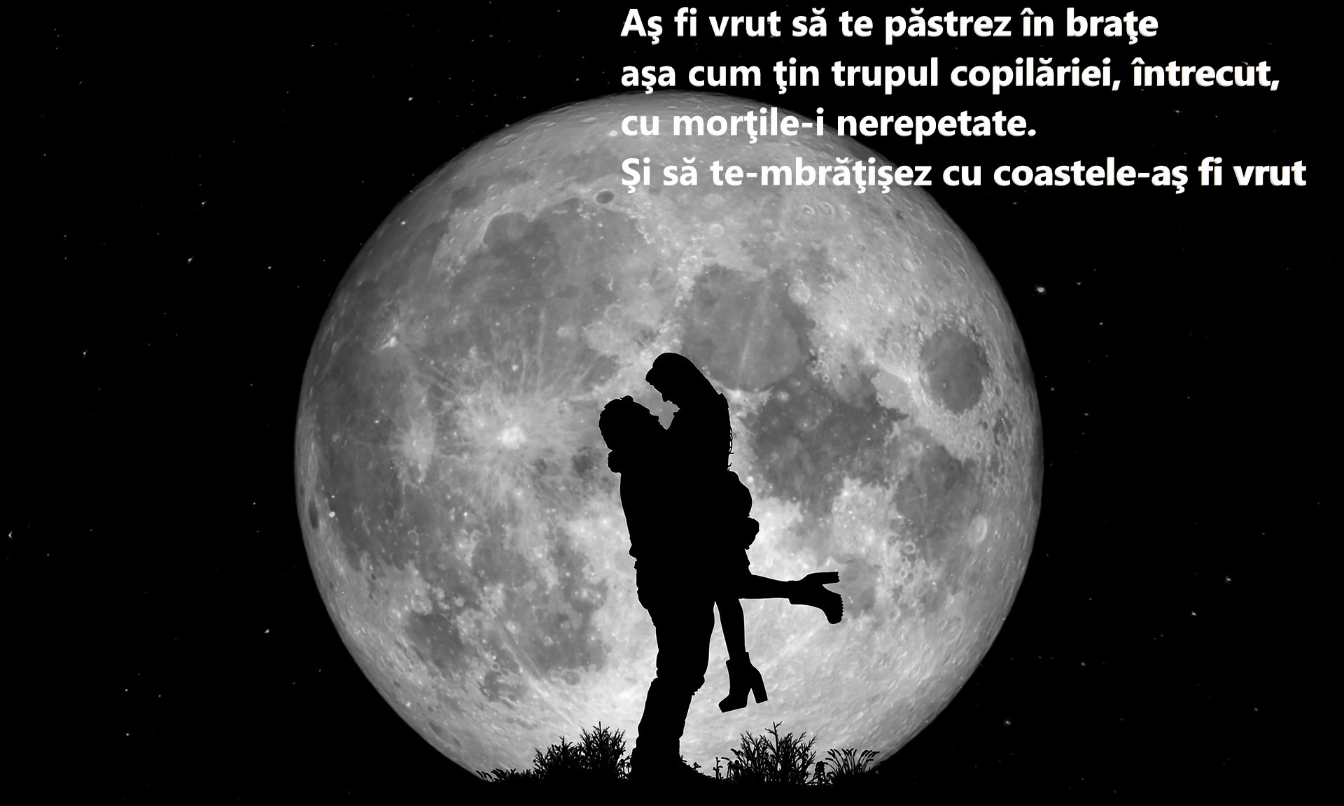 Nichita Stănescu poezii - versuri celebre și mai puțin cunoscute ale poetului