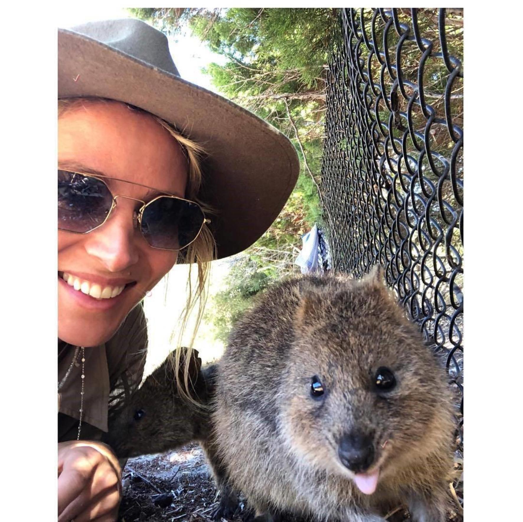 Pasagerii unei nave de croazieră, băgați în carantină cu quokka, supranumite cele mai fericite animale din lume