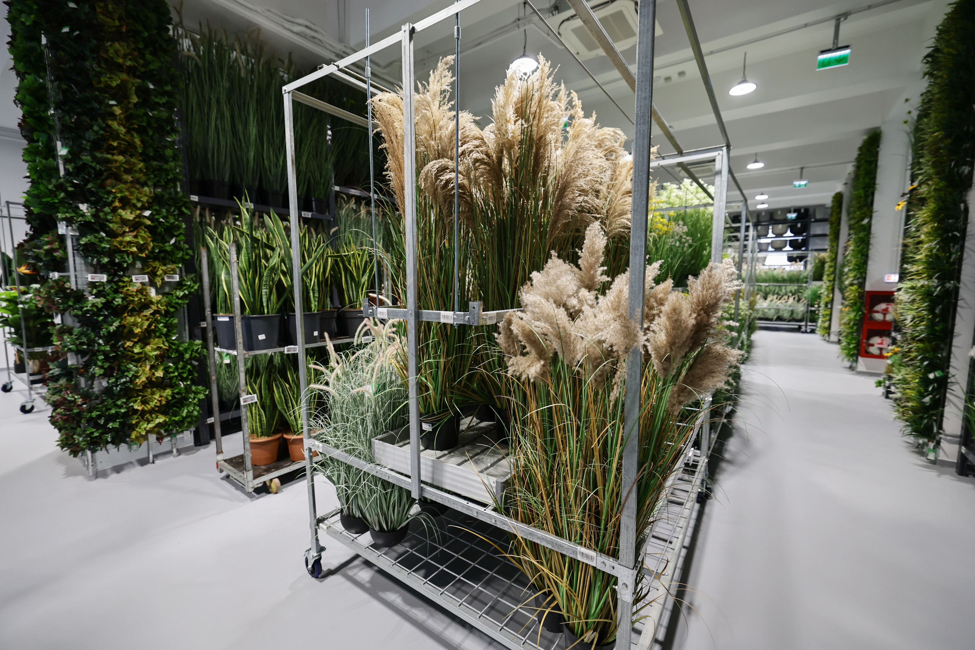 Mall-ul de plante din București are cinci niveluri cu peste 1.200 de soiuri, ghivece inteligente și un mesteacăn artificial care costă cât un apartament