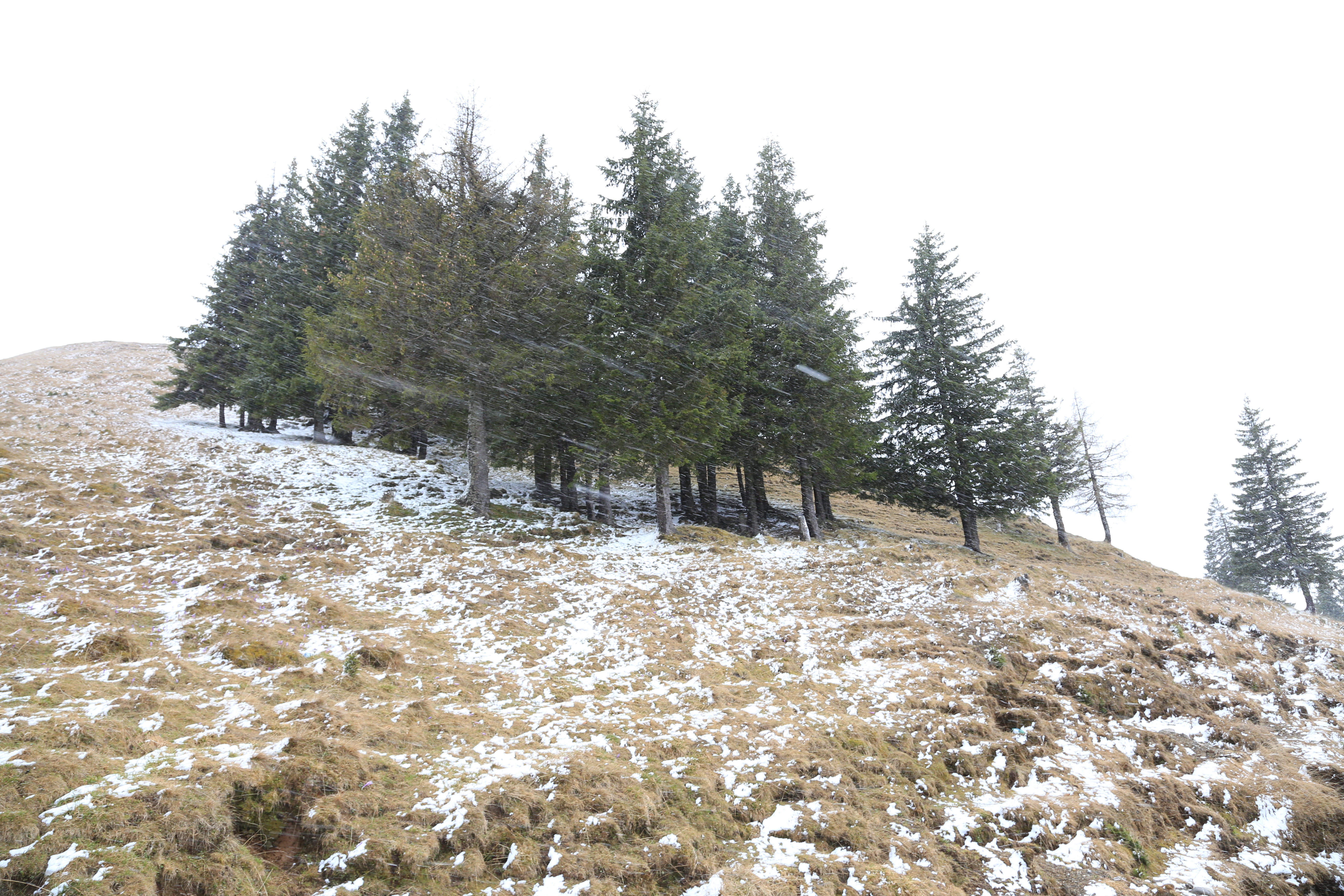 FOTO/VIDEO În miez de primăvară, ninge ca în povești în Bucegi!