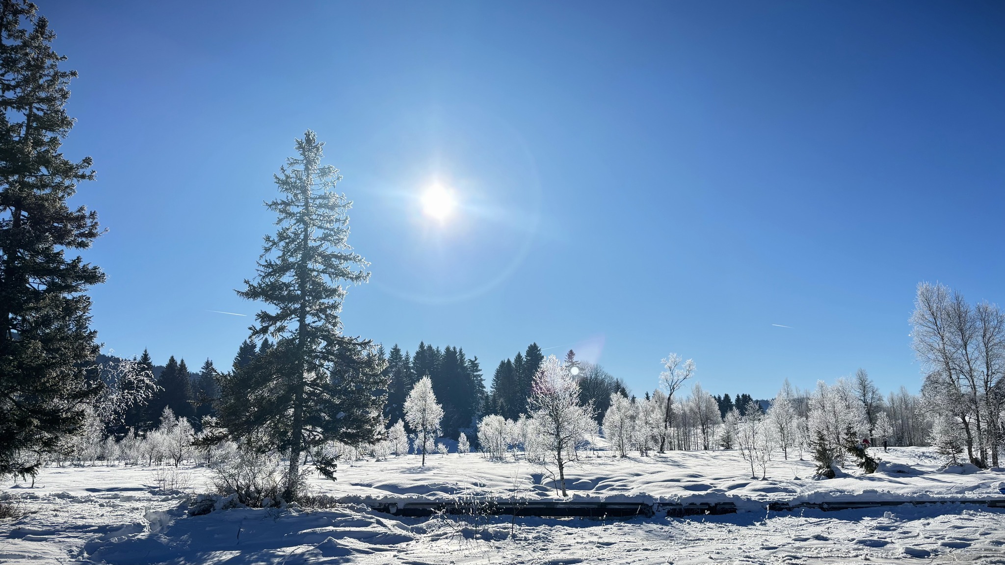 Fenomen rar și uluitor apărut în Franța, pe un lac înghețat. Ce sunt „clătitele de zăpadă” și cum se formează 