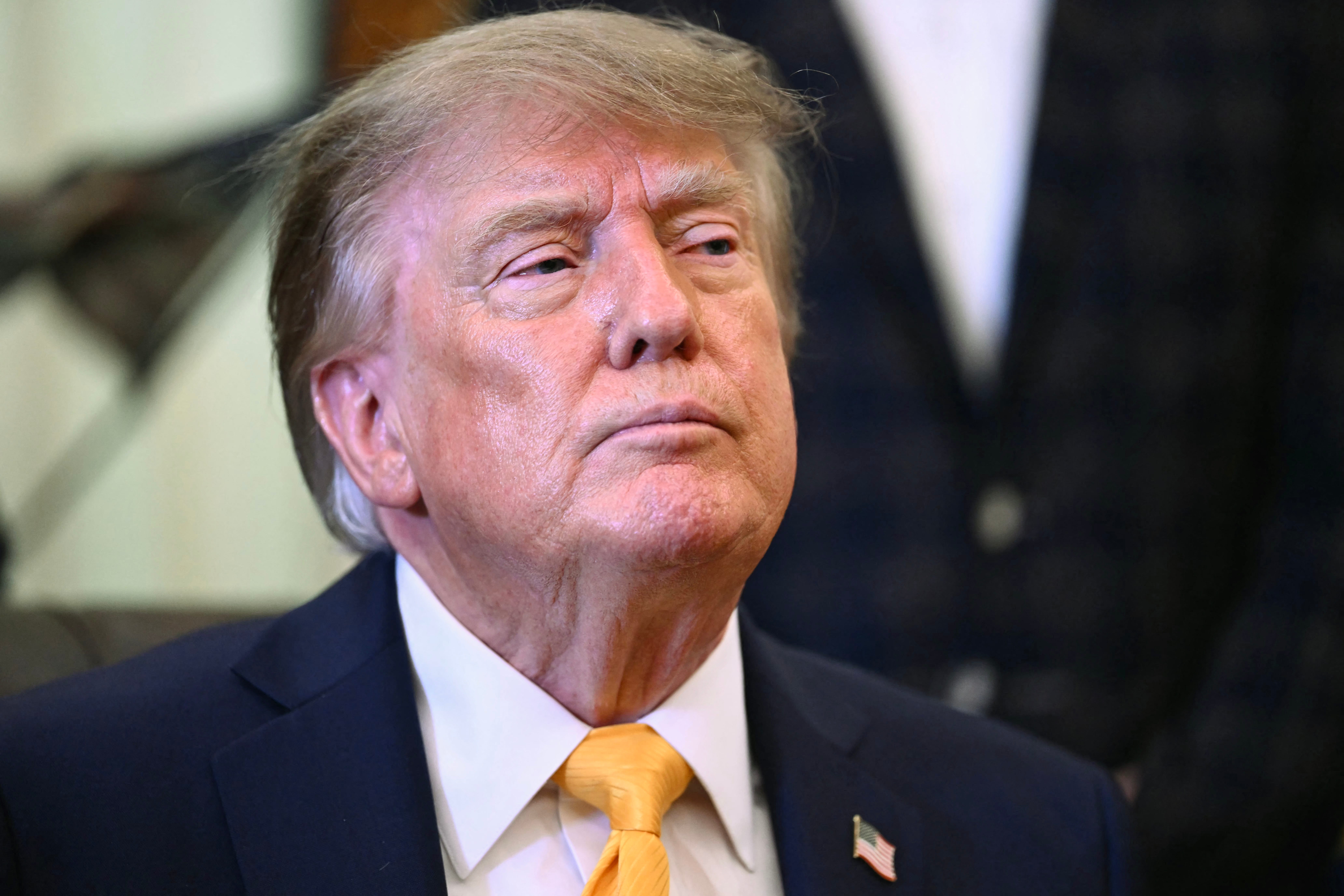 President Donald Trump announced new tariffs and some outright bans on Canadian goods.Kent NISHIMURA / AFP via Getty Images