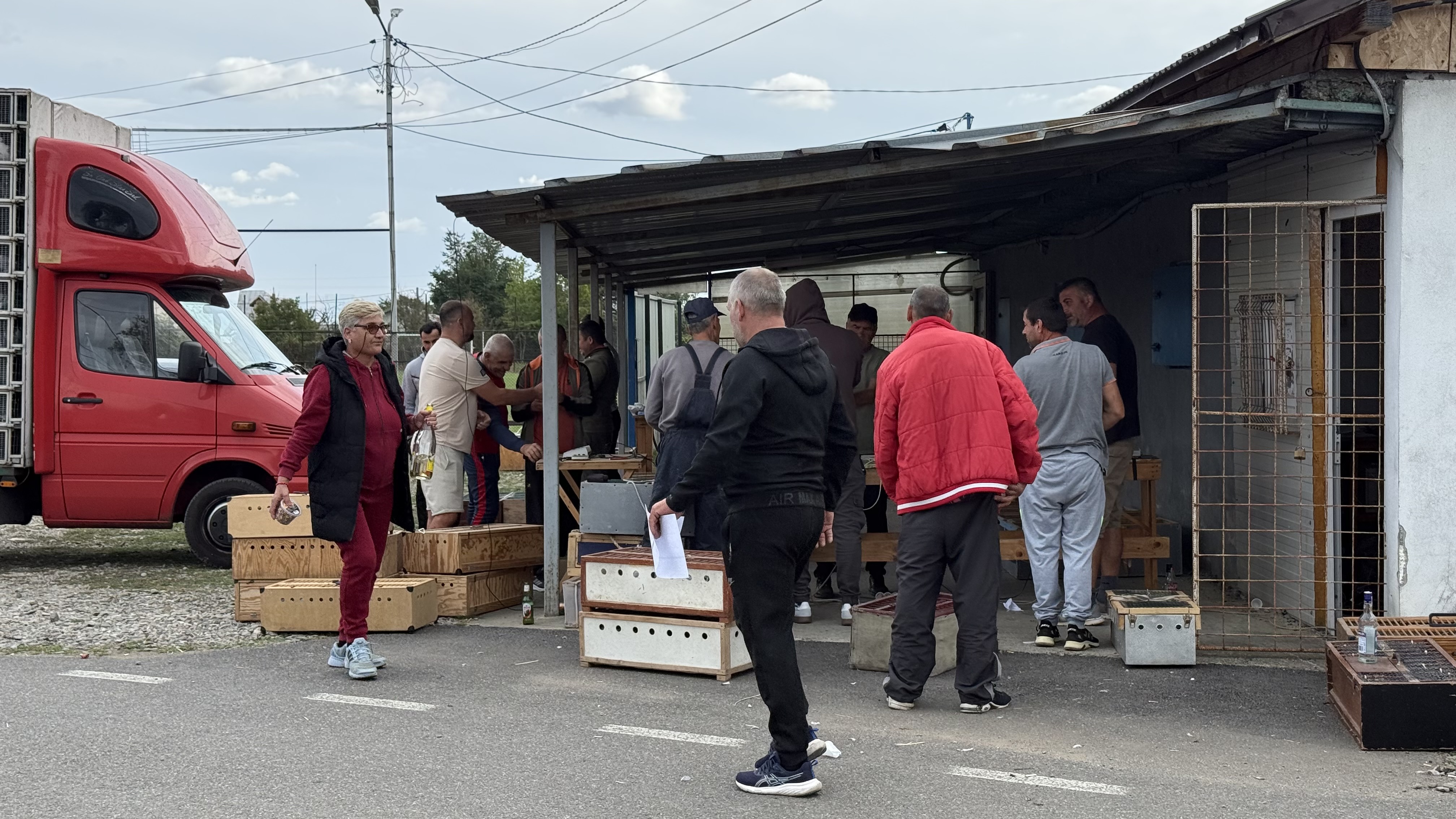 Concurs columbofili - Bănești, județul Prahova