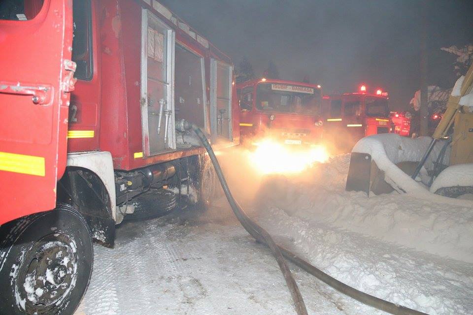 UPDATE | Incendiu la Circul Globus. 11 animale, printre care doi tigri, au pierit în flăcări. Ce spun anchetatorii / VIDEO&FOTO