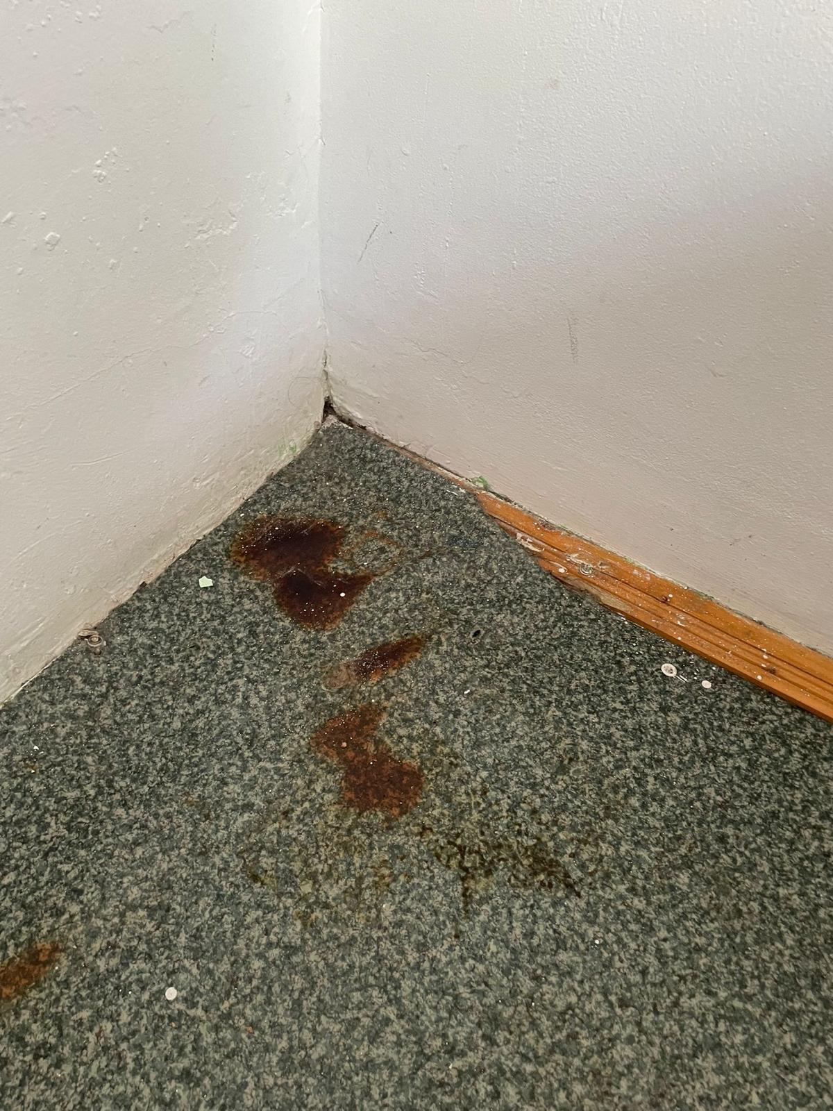 Cămin murdar, cu saltele pătate și gândaci pentru liceenii veniți în tabăra de vară a Universității din București. „Tu ai sta aici?”