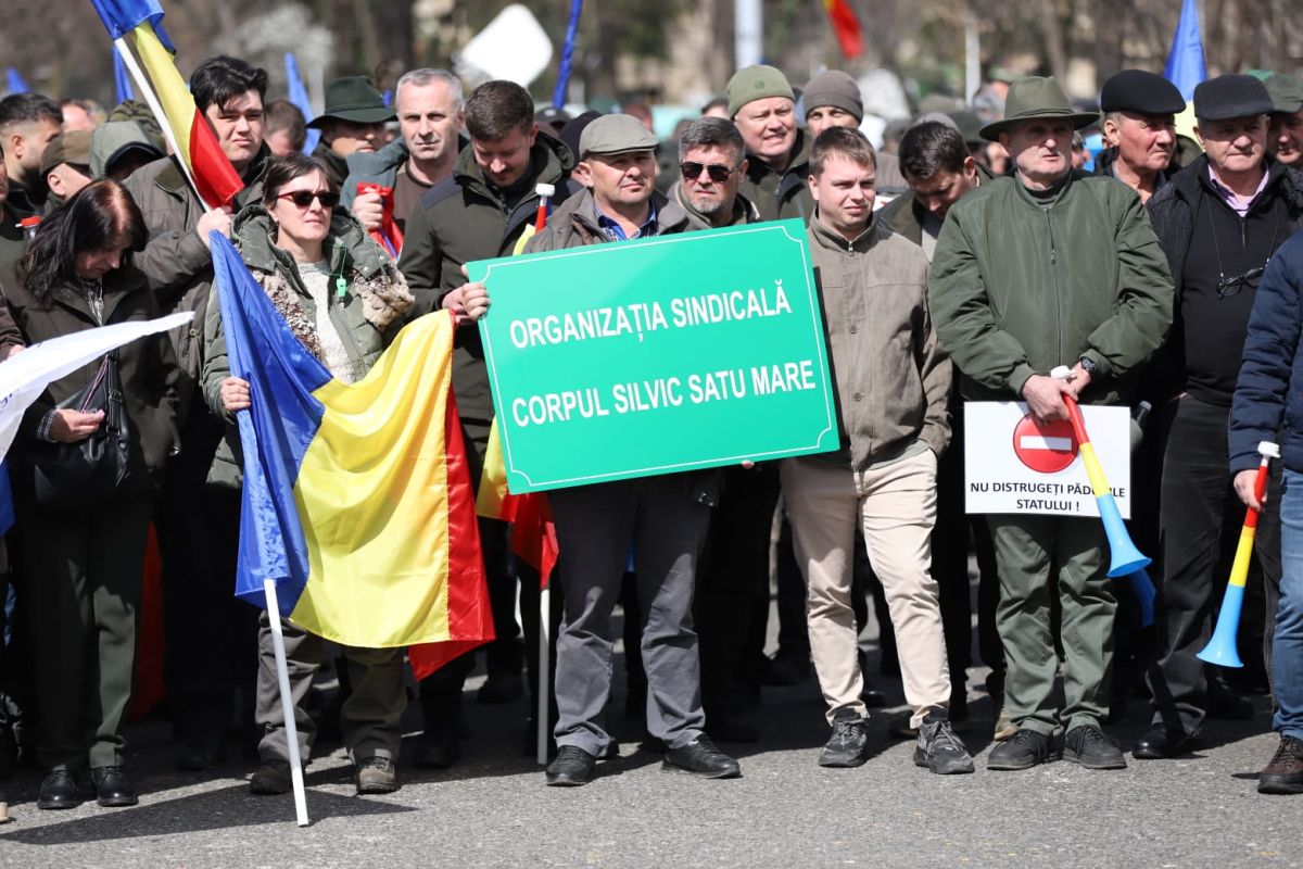 Silvicultorii protestează la București față de tăierea salariilor și amenință cu greva generală