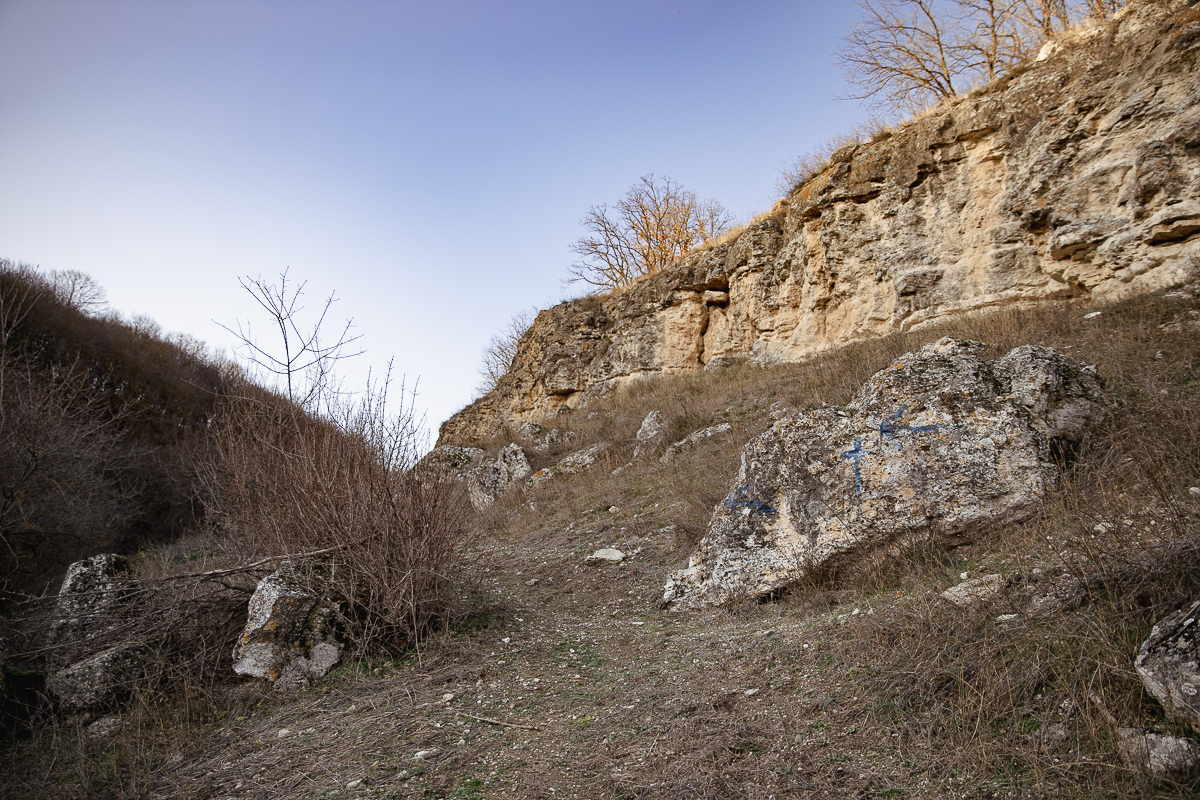 FOTOREPORTAJ. Una dintre cele mai vechi biserici din România a ajuns lăsată în grija lui Dumnezeu, a oilor și uliilor: „Nu v-aţi rătăcit, pe aici o ţineţi tot aşa, pe lângă pădure”