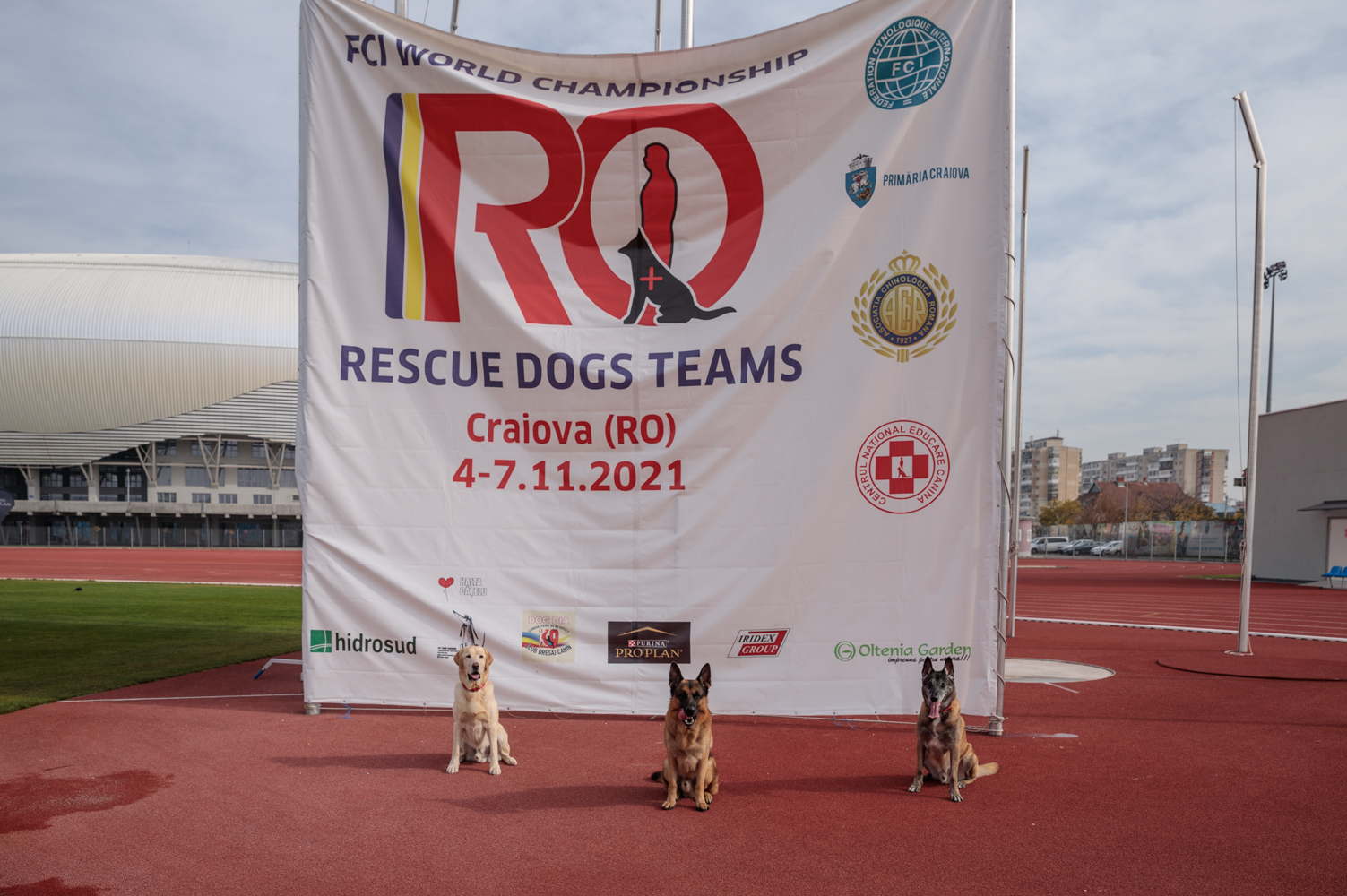Când cel mai bun prieten al omului îți salvează viața. Cum se pregătesc câinii și voluntarii pentru eventuale catastrofe