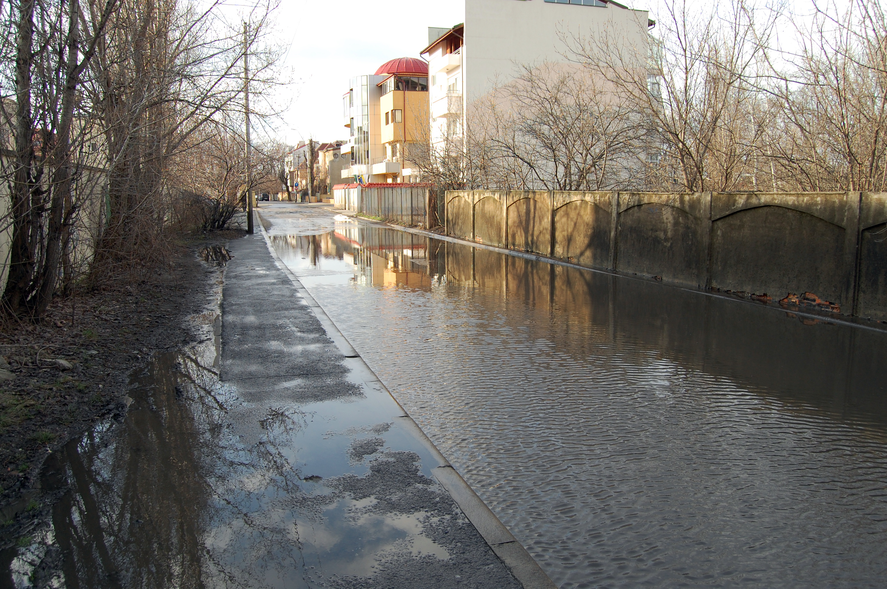 LPF a  intrat la apă! Strada pe care își are sediul a fost inundată / FOTO