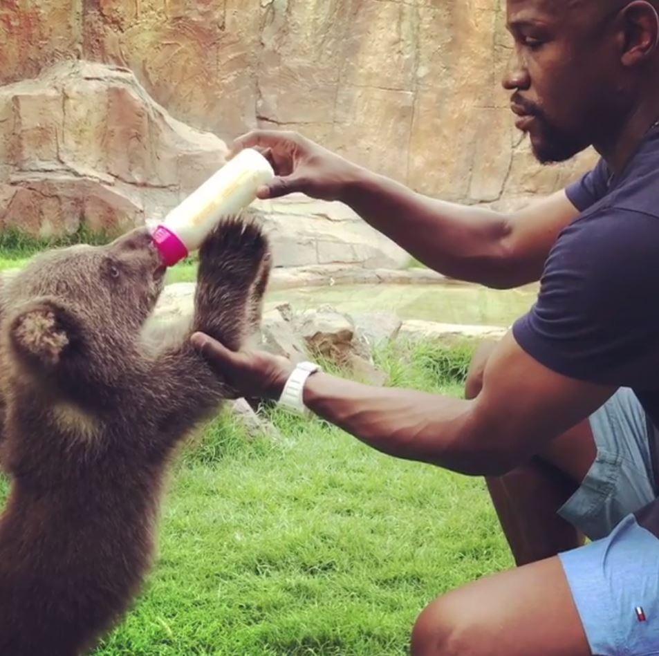 Rashed Belhasa, copilul putred de bogat, prieten al marilor sportivi, are o grădină zoologică în Dubai. Zoo pentru vedete