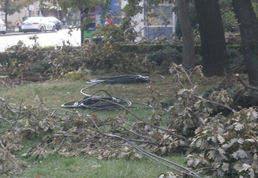 FOTO| Peisaj dezolant în Timișoara la aproape trei săptămâni de la furtună: cabluri atârnate, copaci doborâți și beznă pe străzi