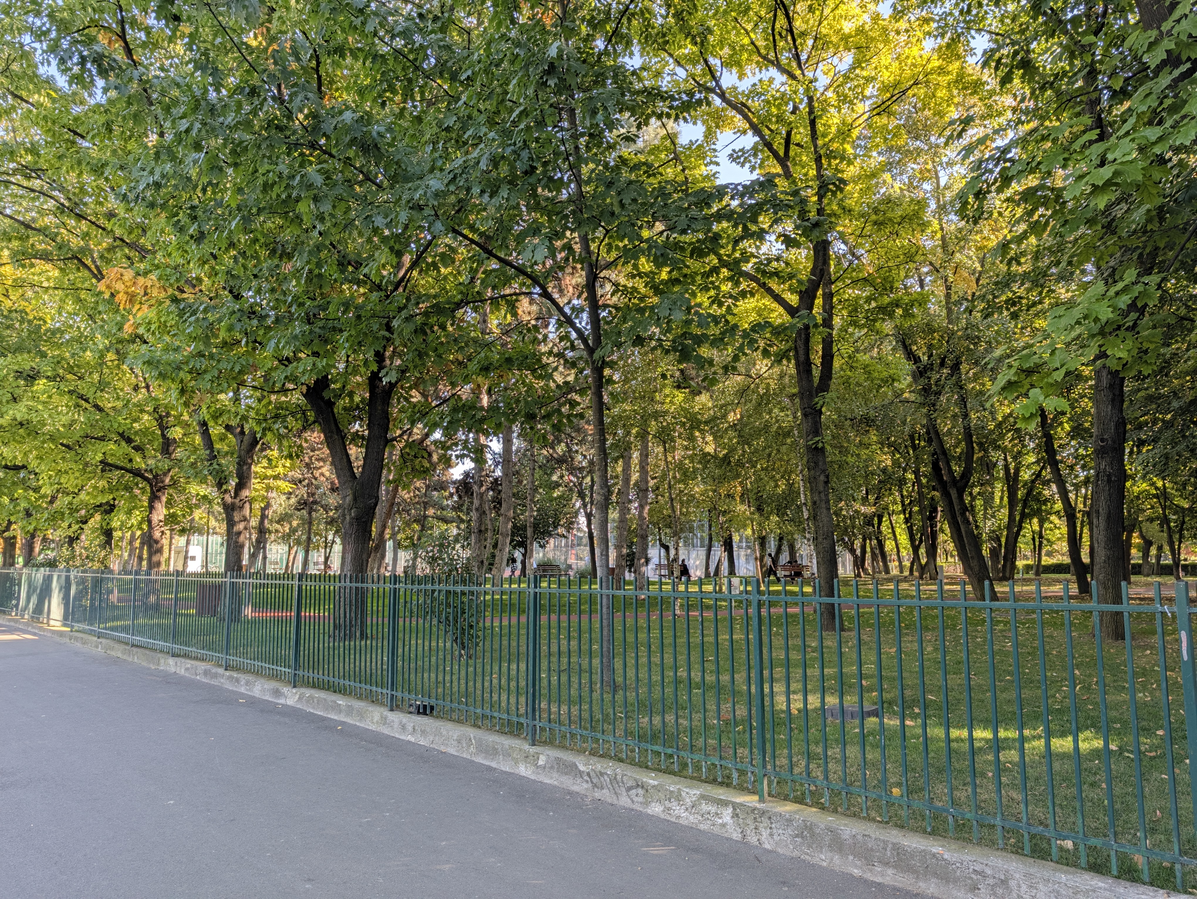 Merită banii Google Pixel 11 Pro XL? Review complet pentru noul flagship cu și mai multe funcții AI