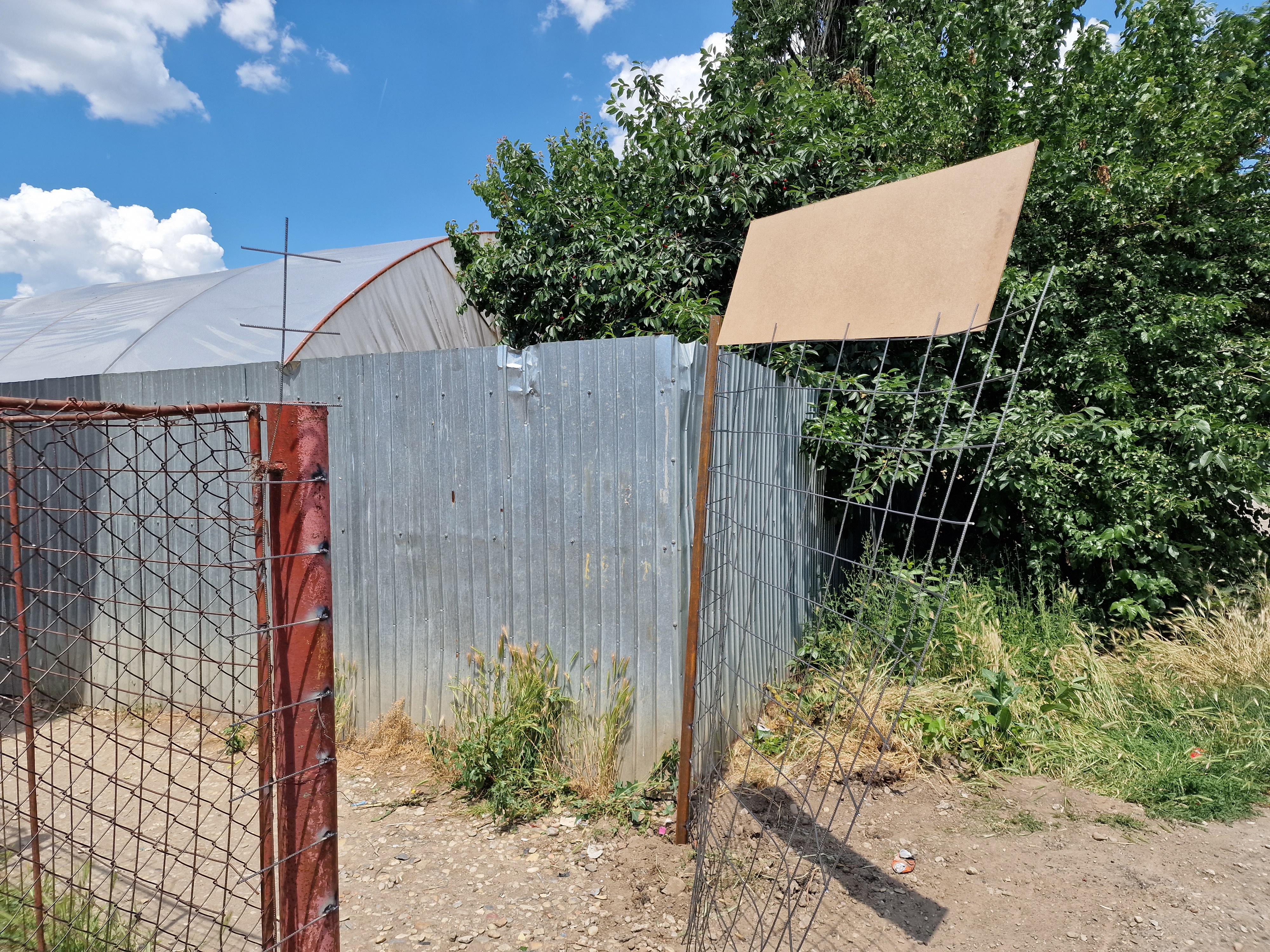 REPORTAJ Lacrimogene de campanie în Mihăilești, Giurgiu: polițiști înarmați și jandarmi au venit să oprească un protest față de primar