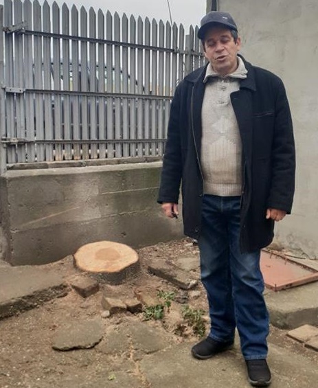 VIDEO&FOTO/ Bradul de Crăciun de la Buzău, donat de un localnic nevoit să-l taie: "Când s-au apropiat cu drujba de el, mi-au dat lacrimile"