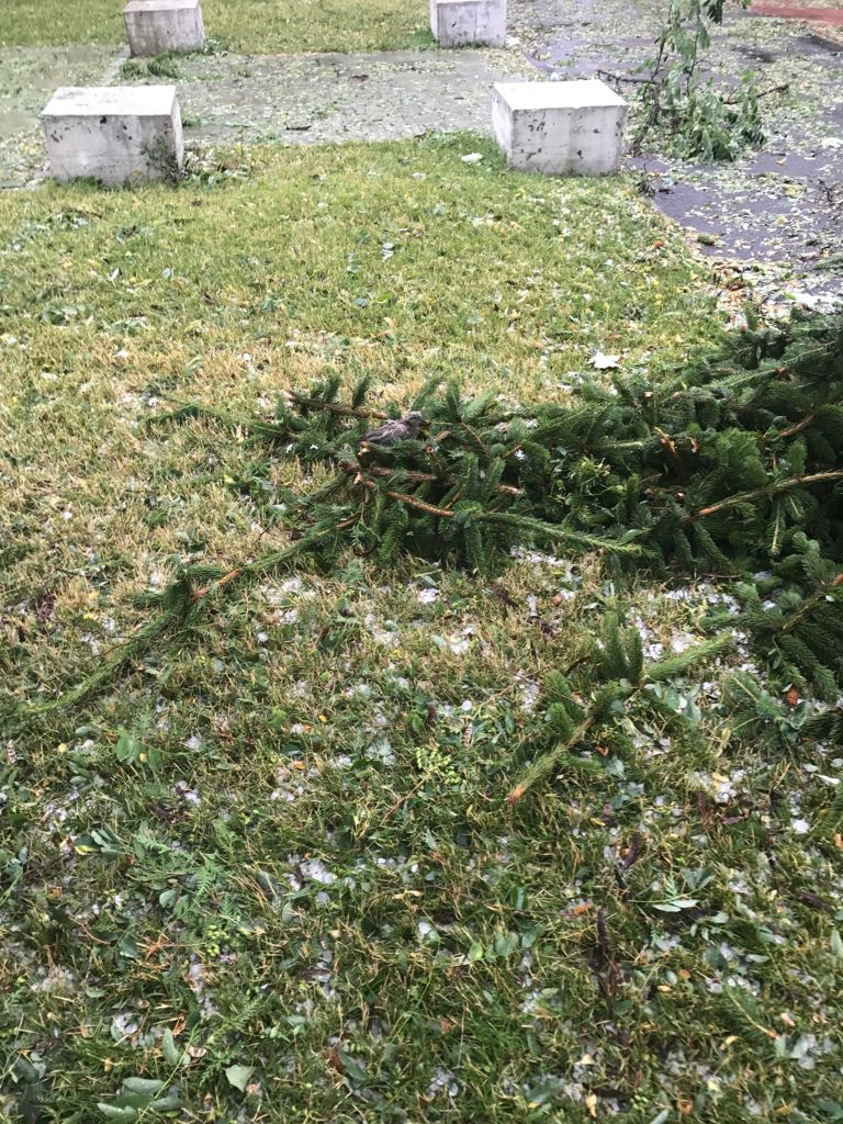 UPDATE: Inundațiile și furtunile au făcut ravagii în șase județe din țară. Zeci de oameni, pe drumuri în urma vijeliei