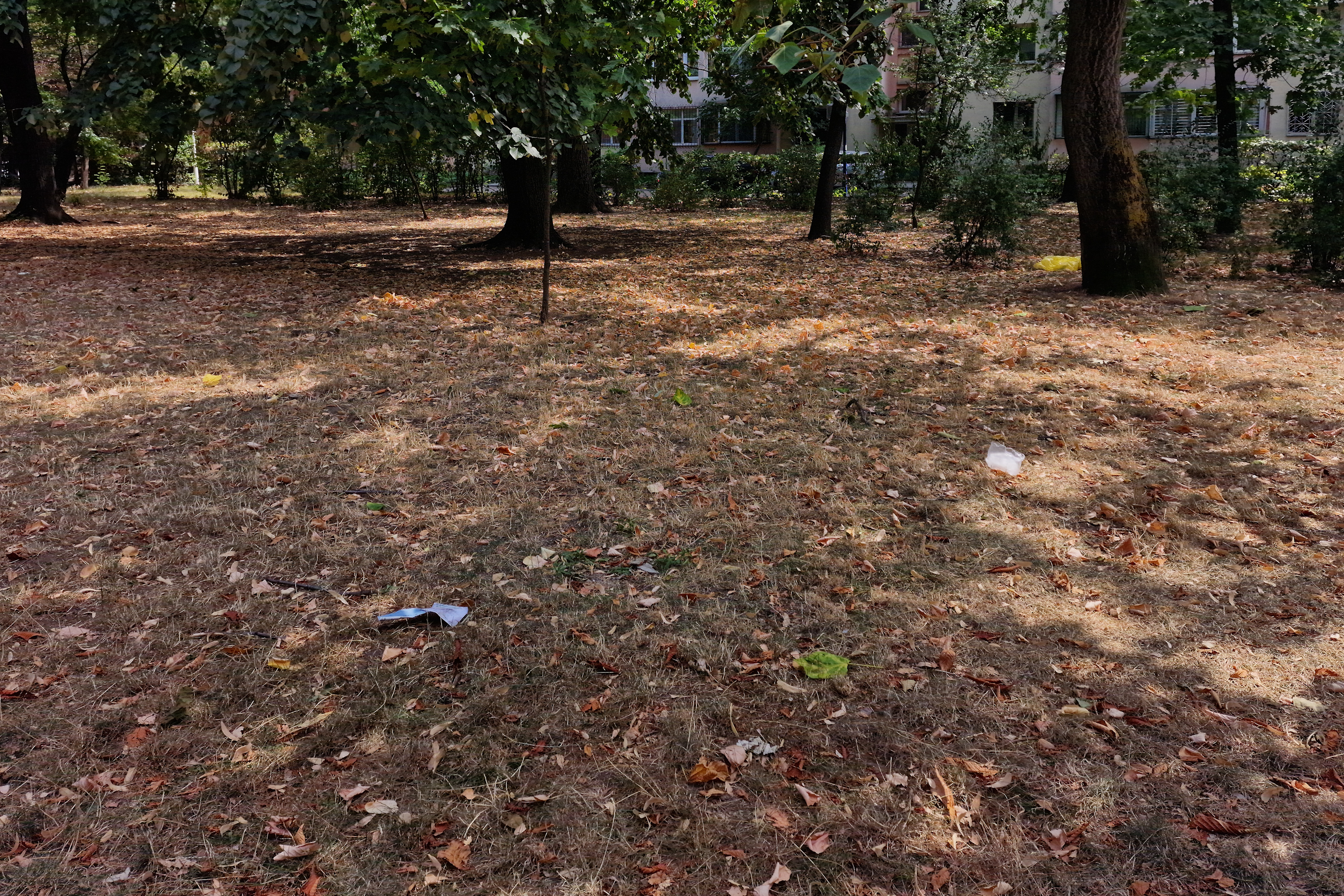 FOTO. În Parcul Circului din București, toată iarba e pârjolită. Rezistă, în schimb, gunoaiele