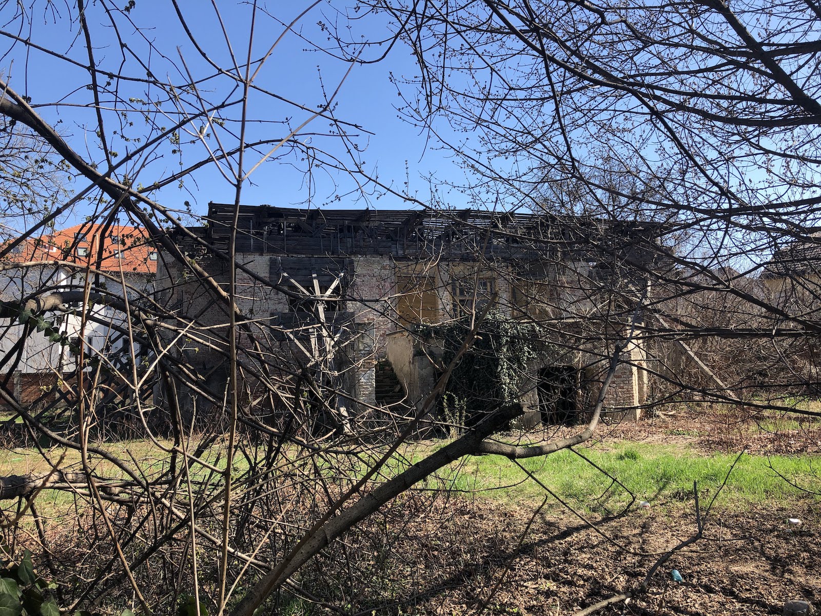 Povestea casei Mühle din Timișoara. În spatele ruinelor se află o familie fabuloasă. Wilhem Mühle a creat Parcul Central din Timișoara, fiul lui, Arpad, a contribuit la amenajarea Parcului Cișmigiu