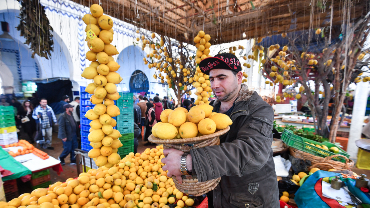 Moroccan lemons packed for export, marking a record $1 million shipment to the UK in 2025. [Photo by FETHI BELAID/AFP via Getty Images]