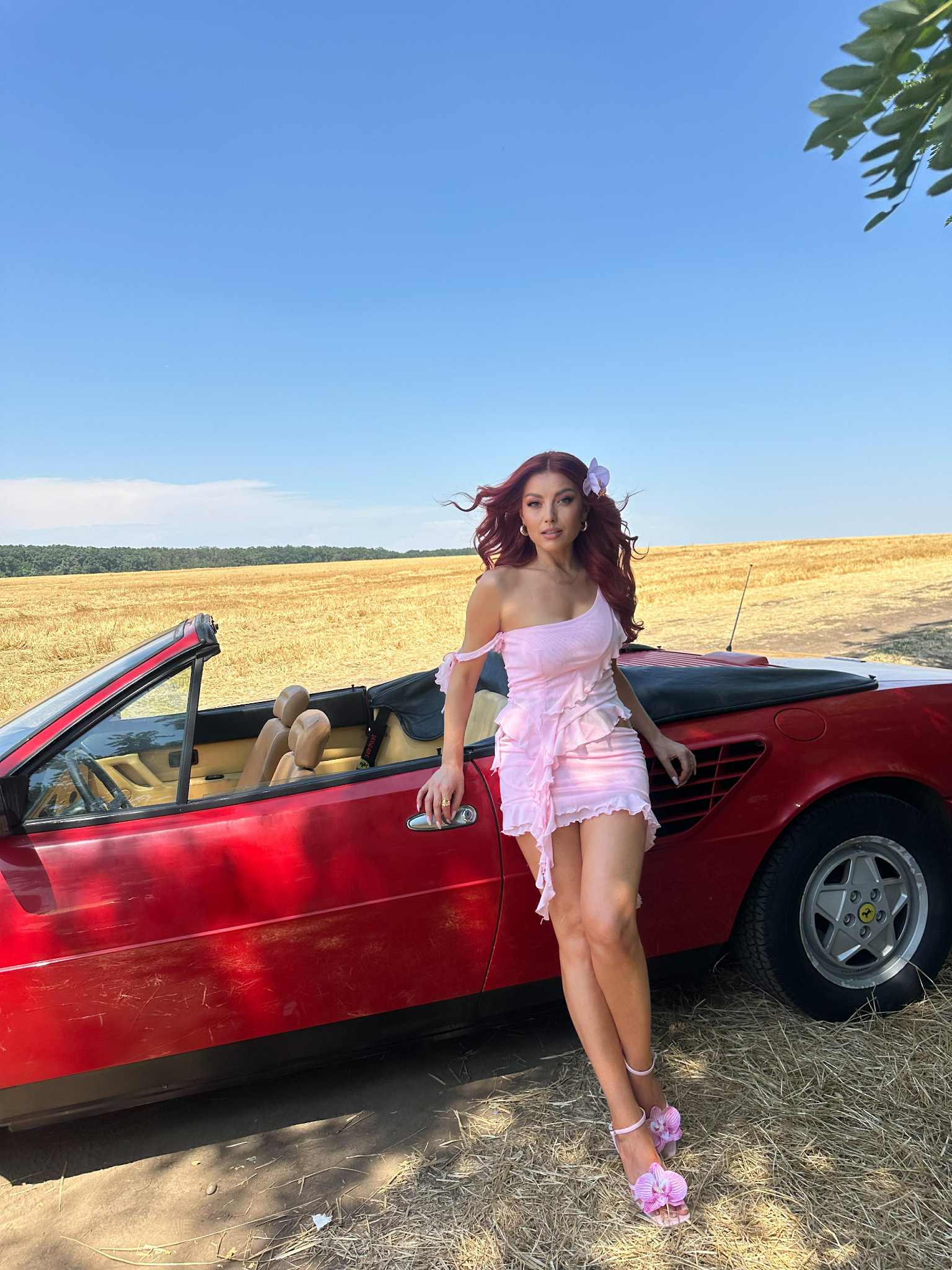 Anunțul făcut de Elena Gheorghe: „Un dar pentru istoria pe care o scriem împreună”. Fanii s-au arătat încântați