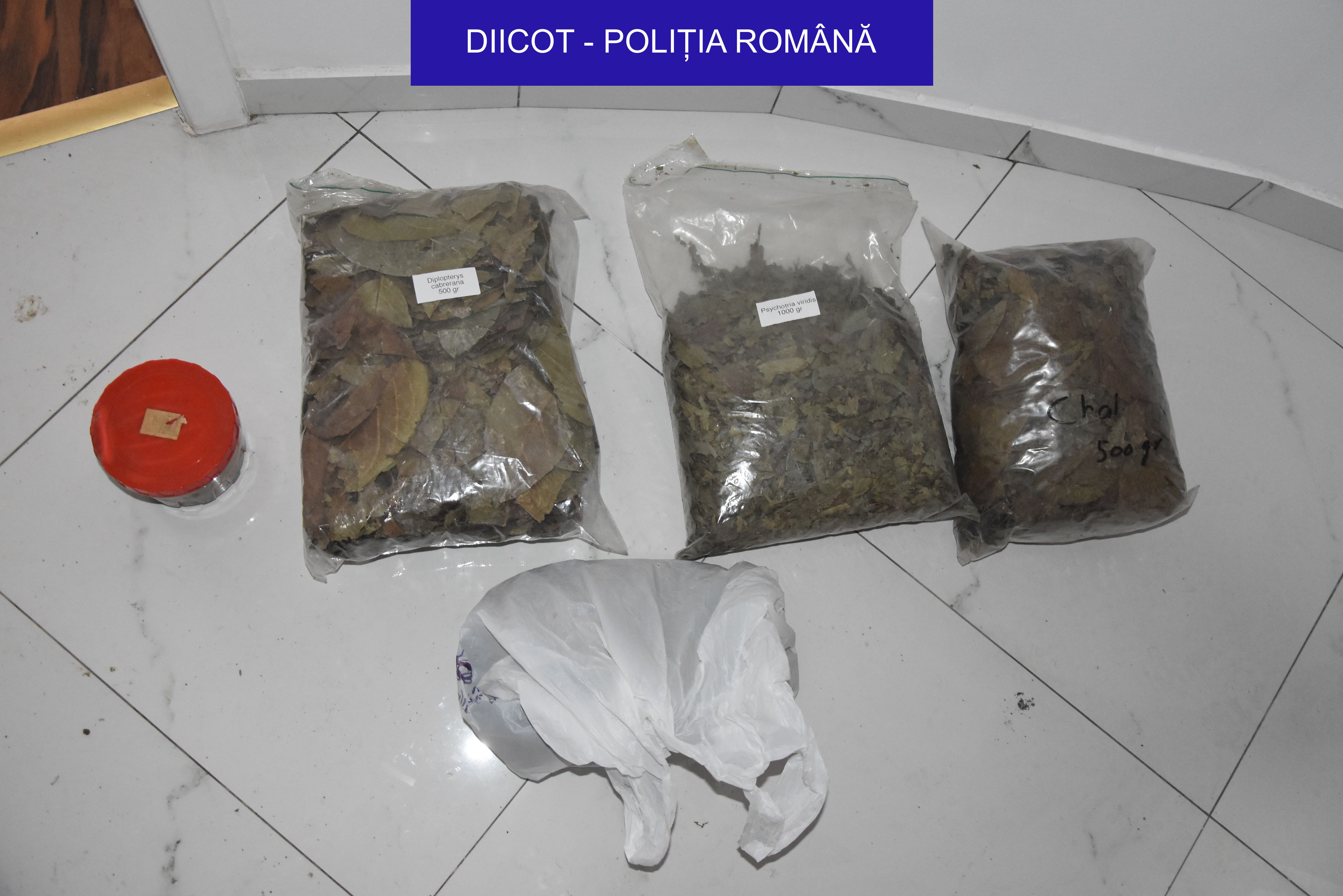 DIICOT a dat detalii din dosarul fostului șef  DGIPI. Gelu Oltean tăia bilete la ceremoniile șamanice cu droguri de mare risc, pe care le organiza în Răcari