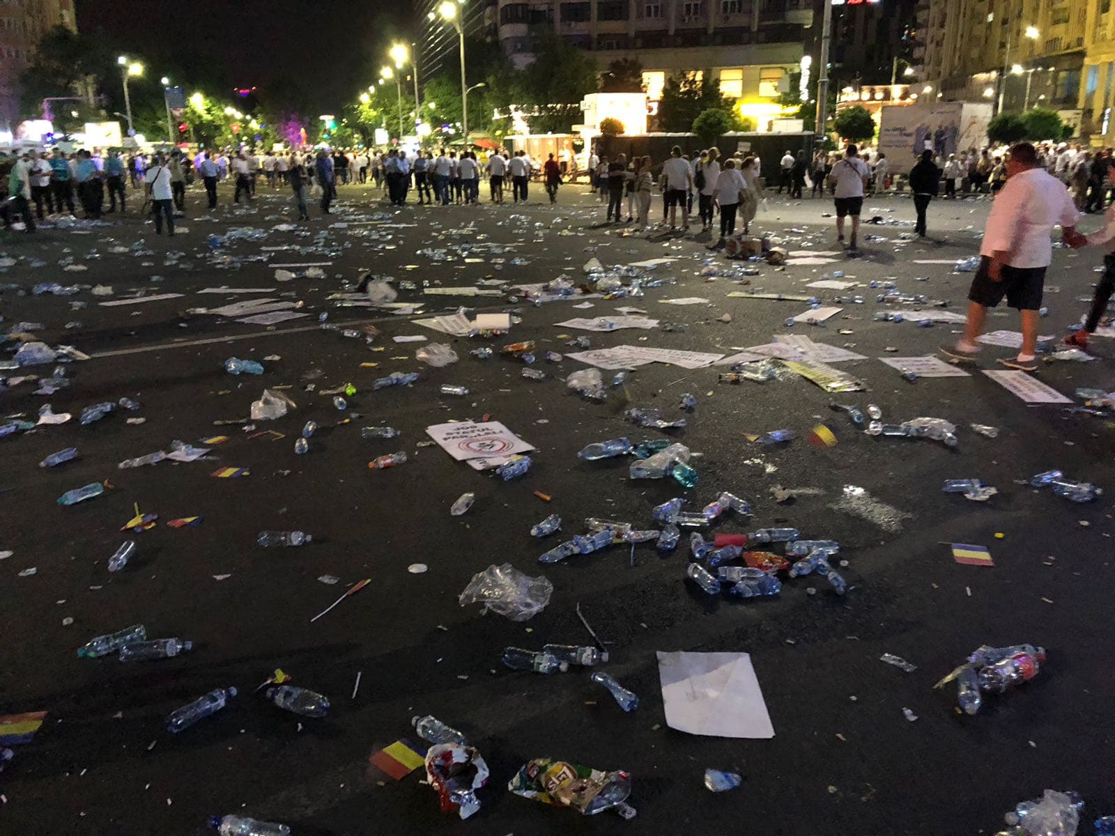 Cum răspunde Gabriela Firea după imaginile cu gunoaiele rămase în Piața Victoriei, la finalul mitingului PSD