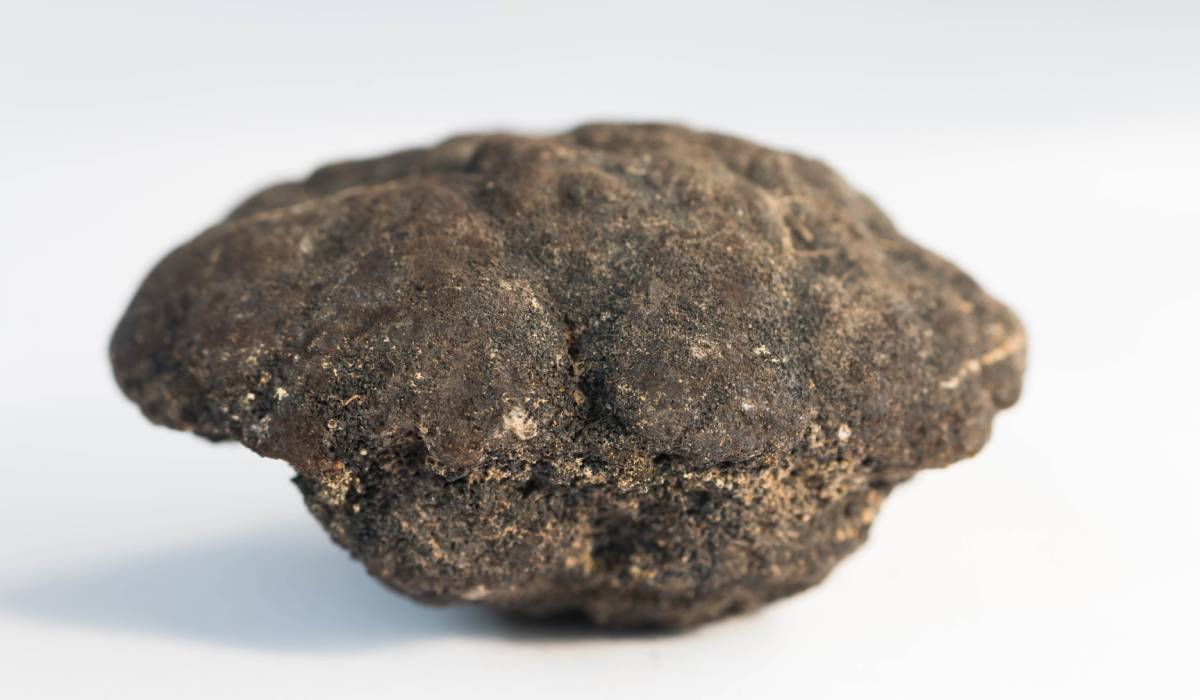 Un zăcământ uriaș de 21.000.000.000 de tone de roci pline cu metale rare, în valoare de 18 trilioane de dolari, a fost găsit pe fundul oceanului Pacific