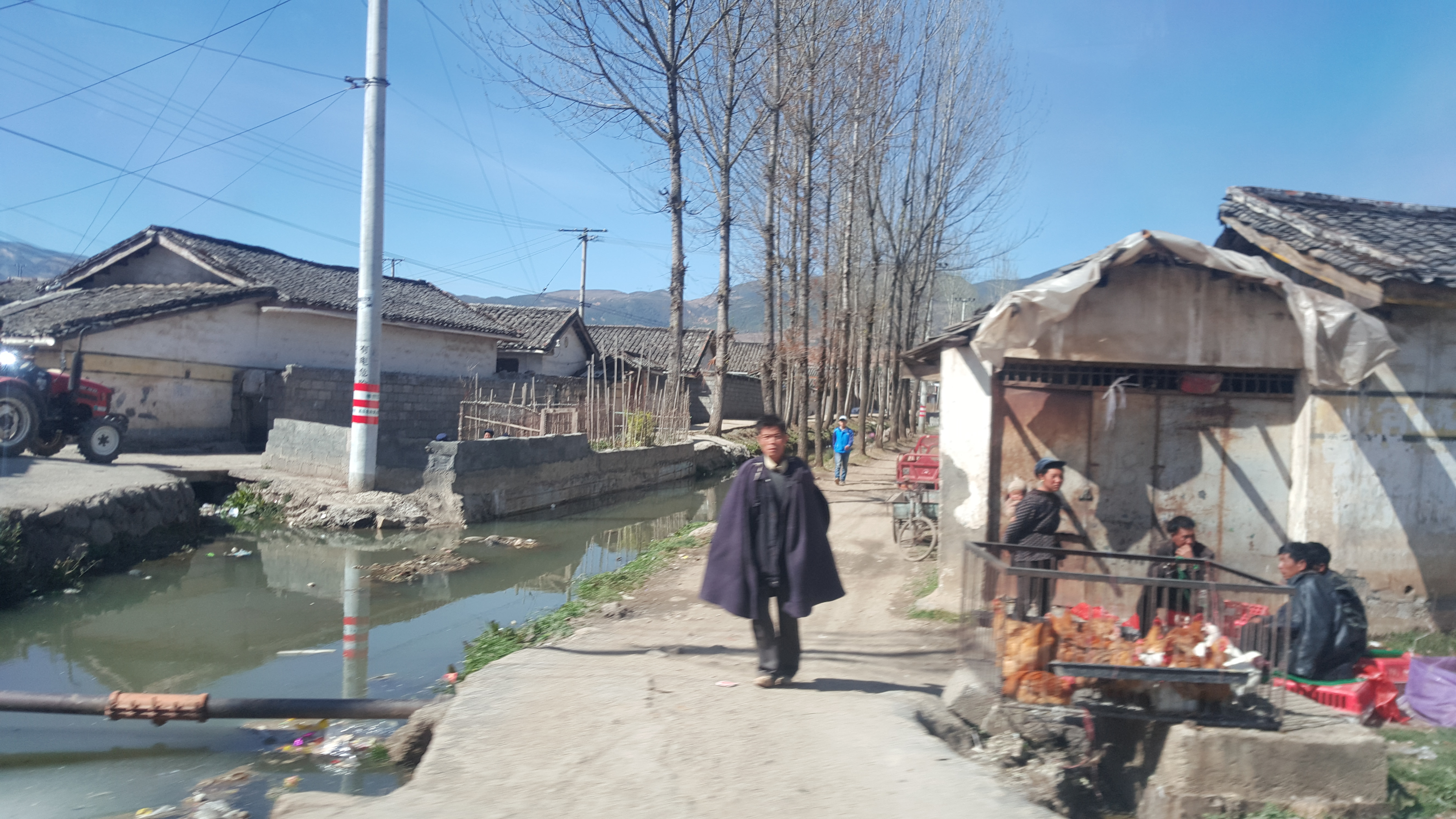 CORESPONDENȚĂ DIN SICHUAN, CAPITOLUL 1 | Scriitoarea Doina Ruști, despre primul contact cu uimitorul ținut Sichuan