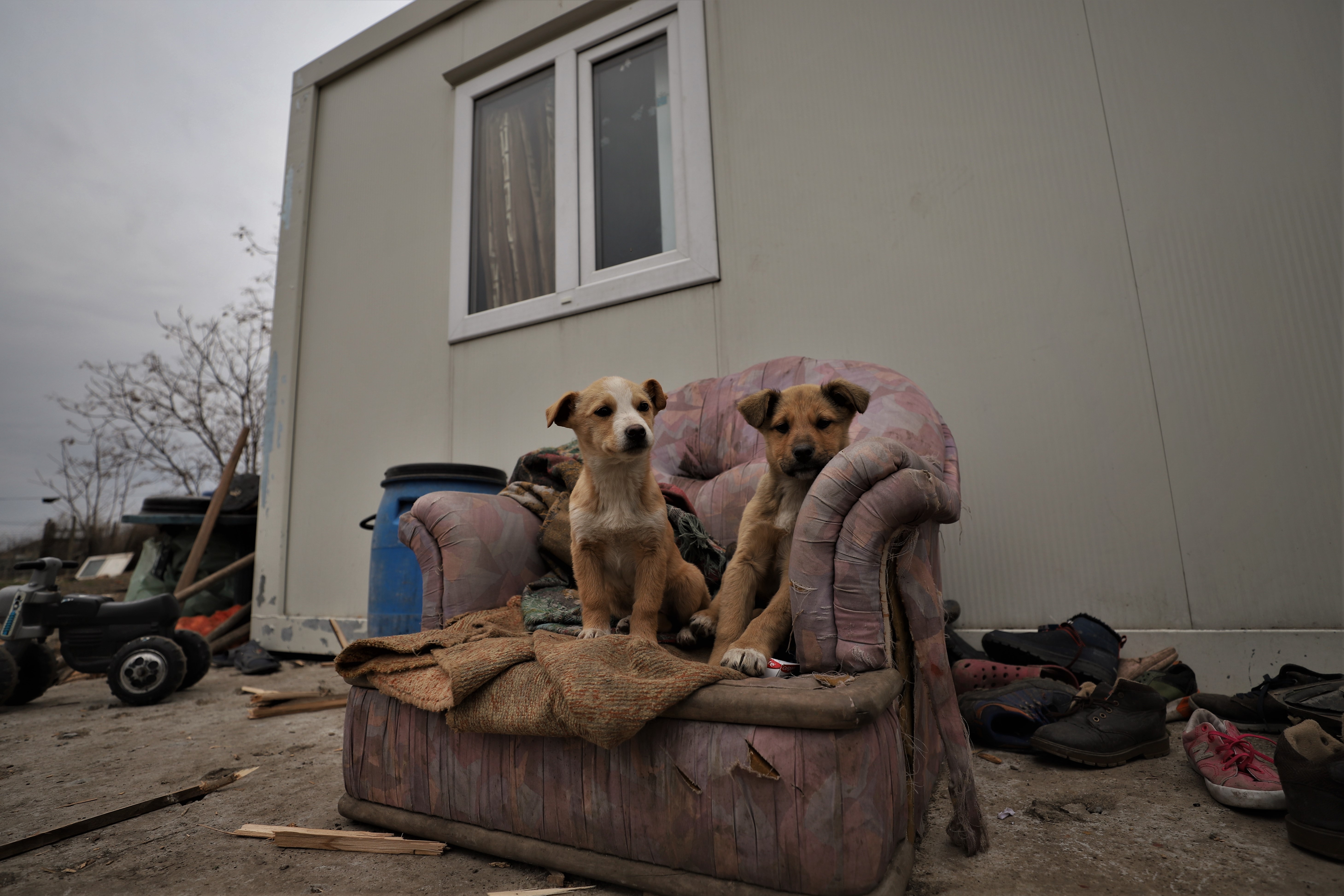 REPORTAJ. Viața chinuită a unei familii cu cinci copii, care s-a mutat din grajd în container: „Primăria nu ne dă hârtie să ne legăm la curent”. De ce i-a lăsat și fără ajutorul social