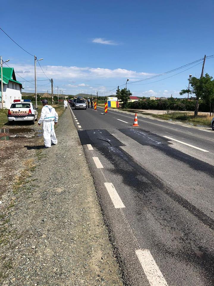 Stare de alertă în județul Tulcea. Pesta porcină africană afectează oamenii de rând, dar și marele producător Carniprod/ FOTO