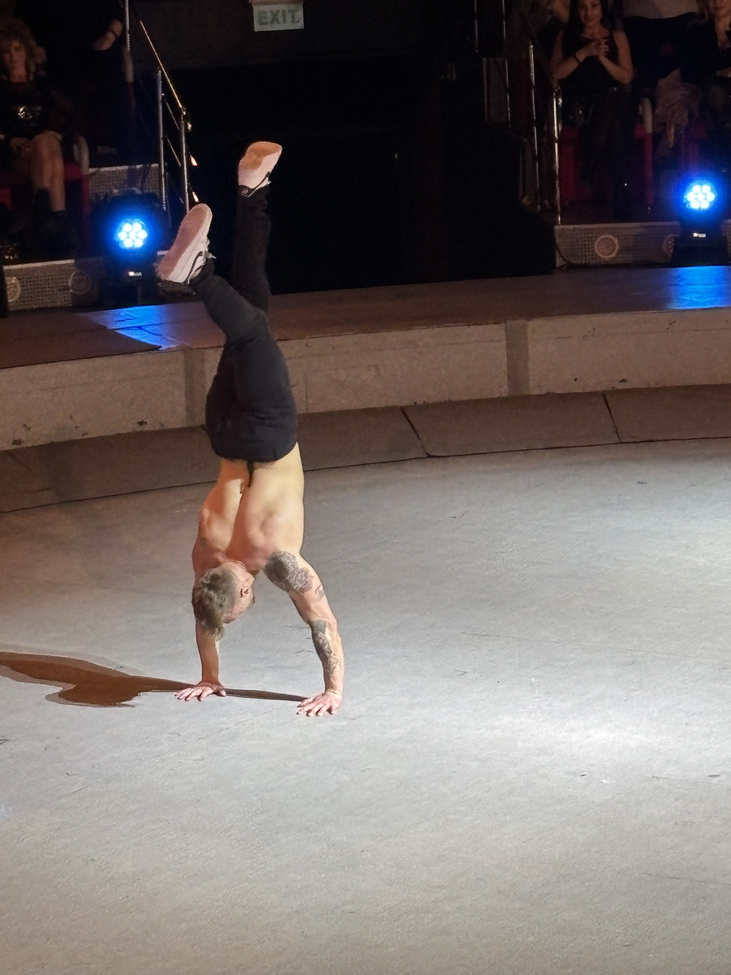 Striptease cu tricolorul la Circul de Stat din București. Preludiu, excitare, delir: „Cum e România acum?”