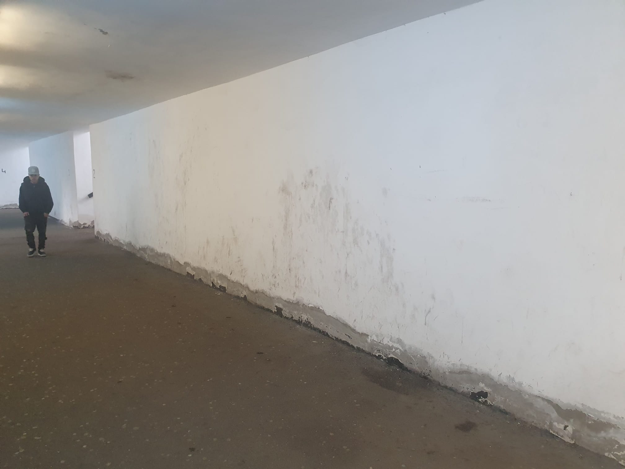 Gara de Vest din Ploiești a ajuns un decor de film horror: gropi, fisuri, mizerie, apă lipsă. Lucrări pentru modernizare de 4 milioane euro, neîncepute