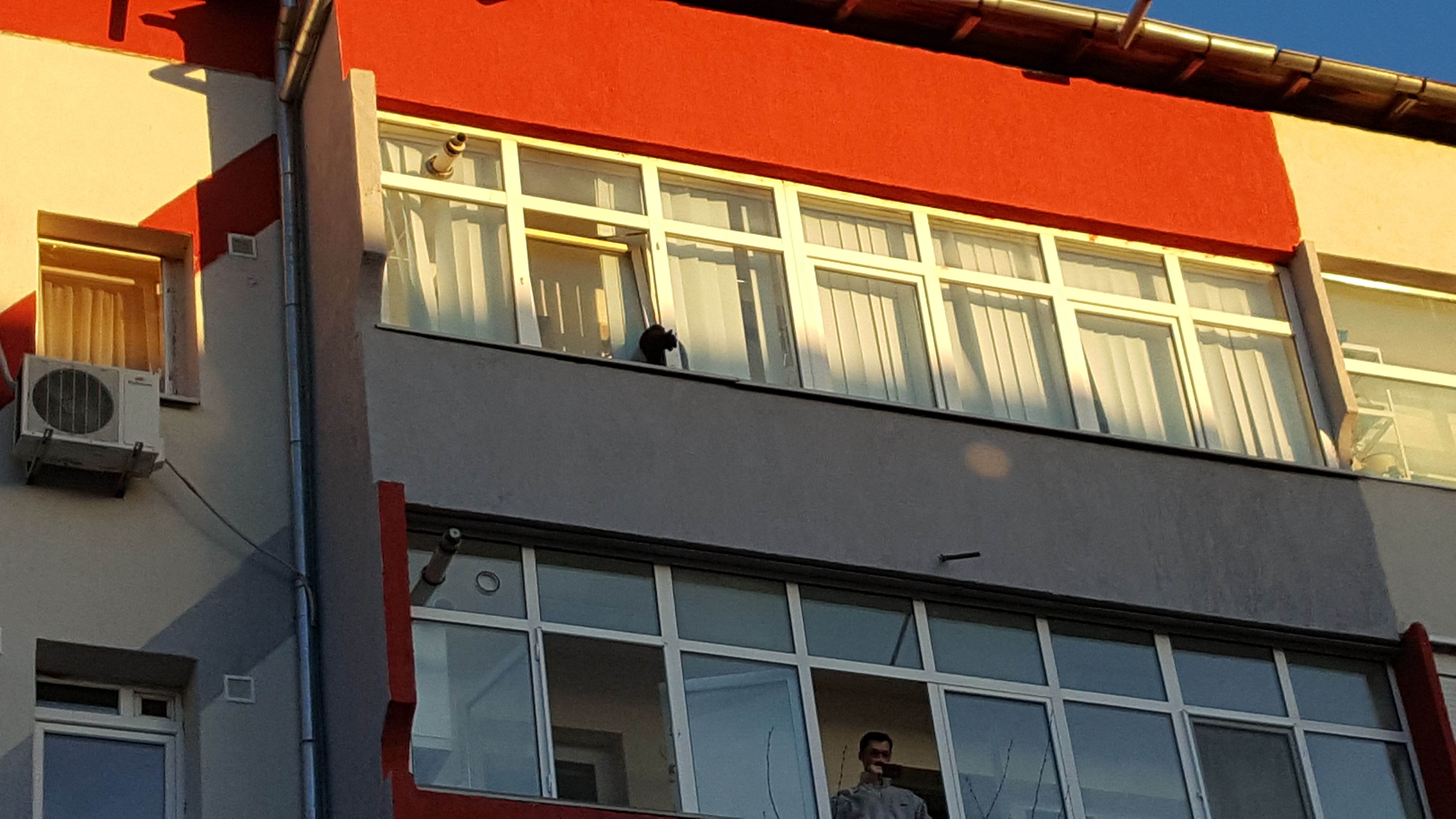 Desfăşurare impresionantă de forţe pentru salvarea unei pisici! GALERIE FOTO&VIDEO