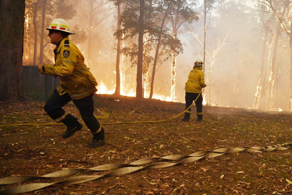 Incendii devastatoare în Australia. Orașul Sydney, învăluit într-o ceață toxică. Imagini dramatice