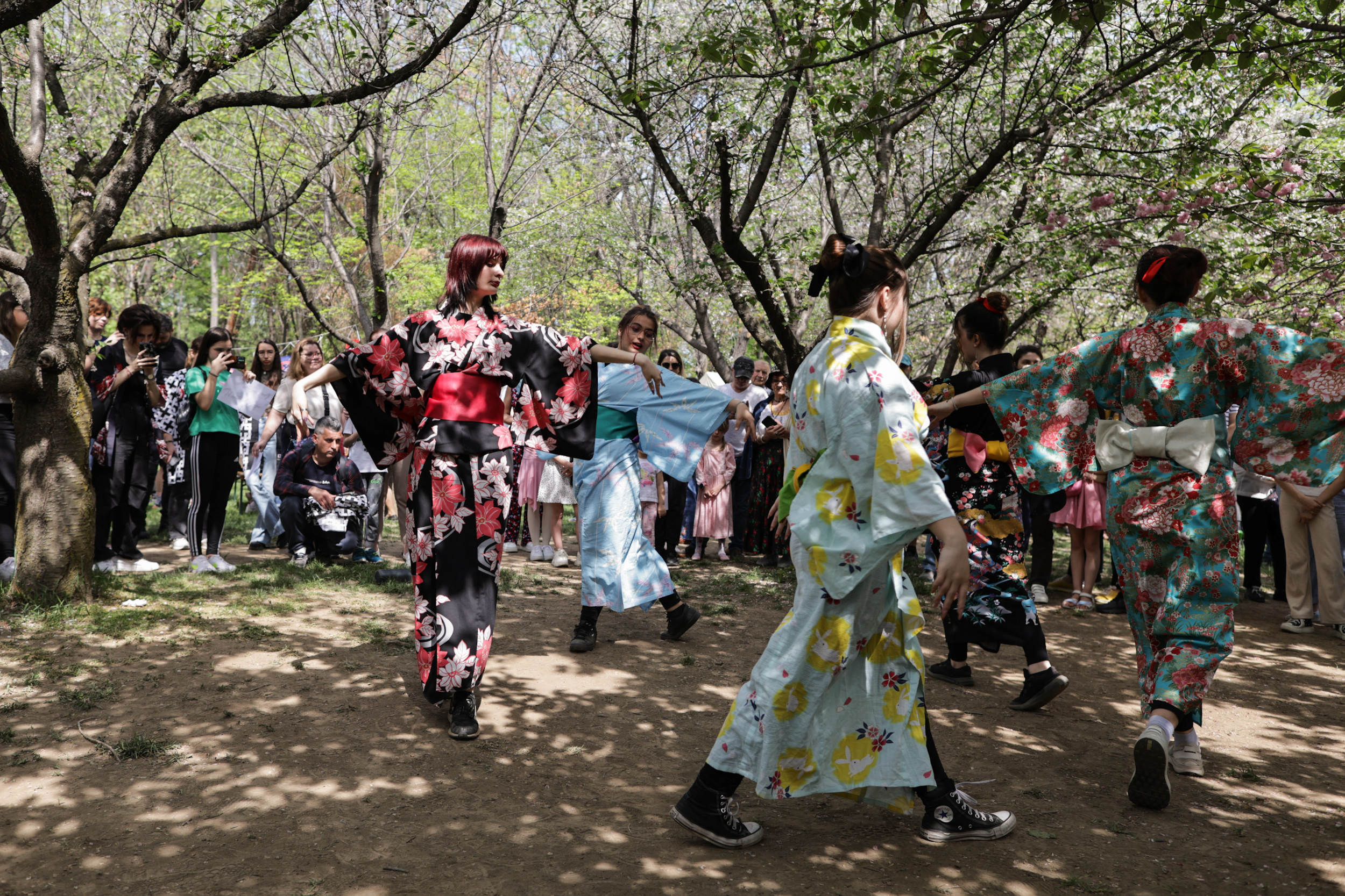 FOTO. Au înflorit cireșii în Grădina Japoneză din Parcul Herăstrău. Sute de persoane au asistat la „Festivalul Florilor de Cireș”
