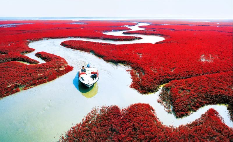 The Red Beach [Pinterest]