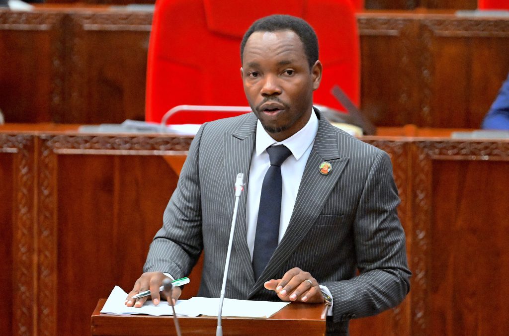 Tanzania bans political rallies ahead of planned youth protests over election violence