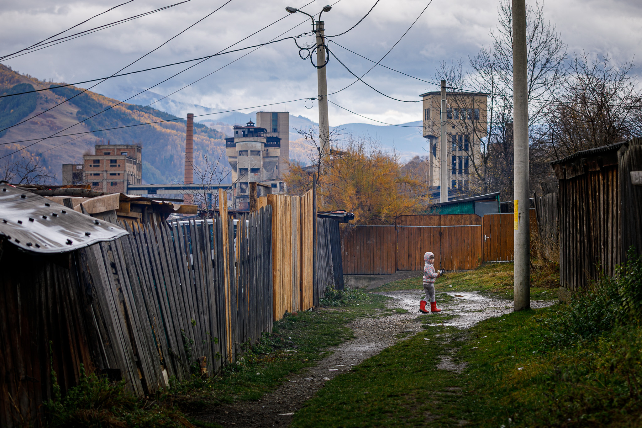 Colonia Bosnia, Petroșani. În cea mai săracă zonă din Valea Jiului, oamenii cer un singur lucru de la conducători: „Să ne dea și nouă pubele!”﻿
